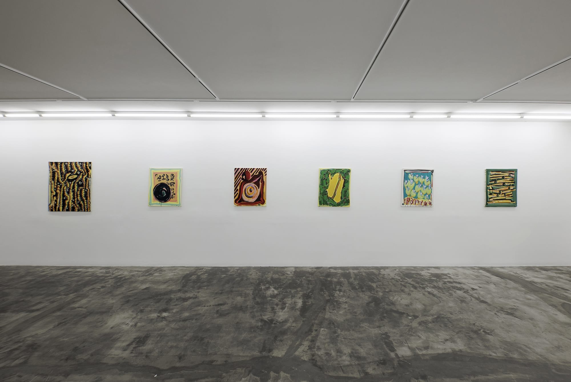 Installation view of Chromatic a solo presentation of works by Nariman Farrokhi .