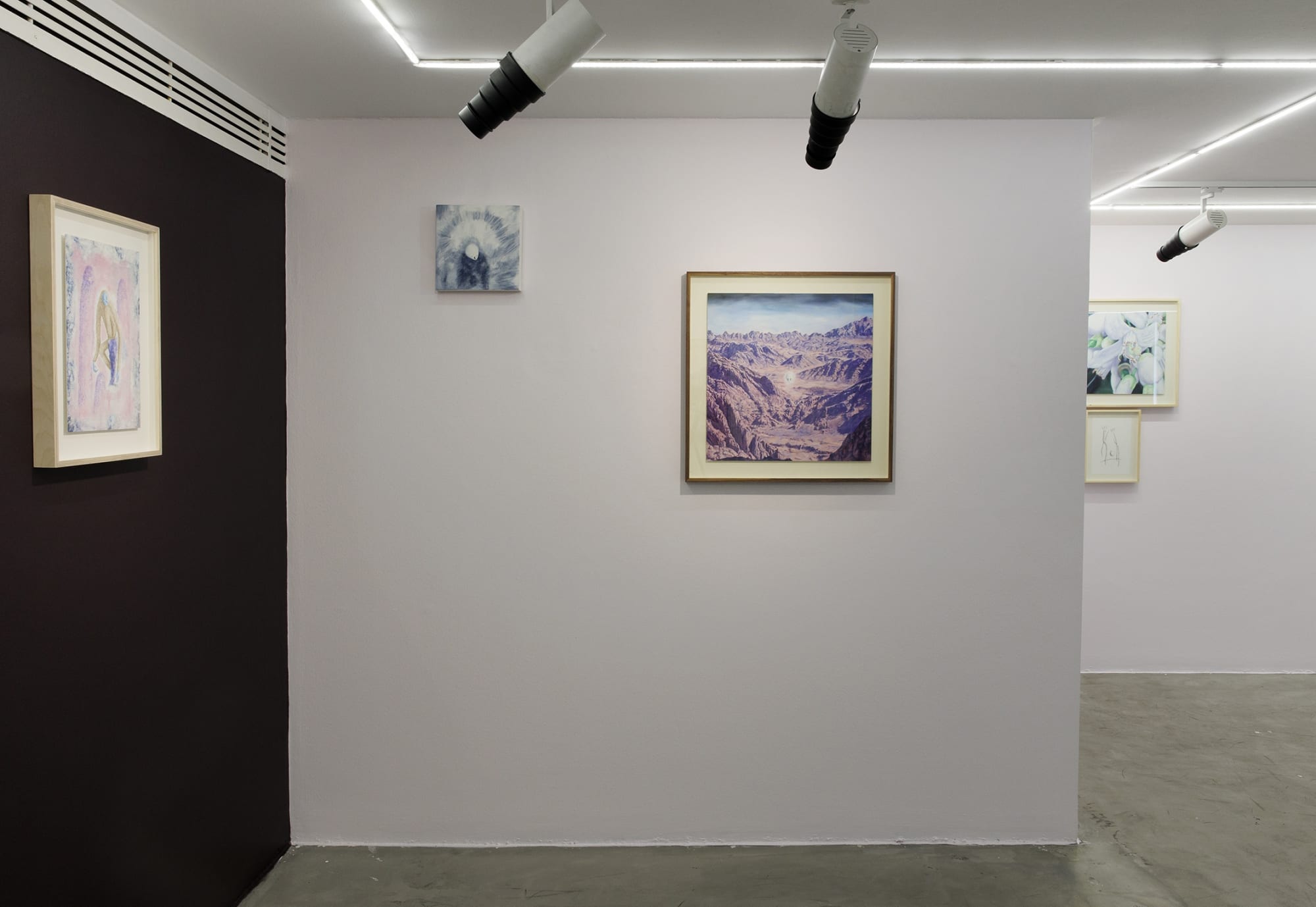 Installation view of Sugar in the Basement a solo exhibition of works by Sina Ghadaksaz.
