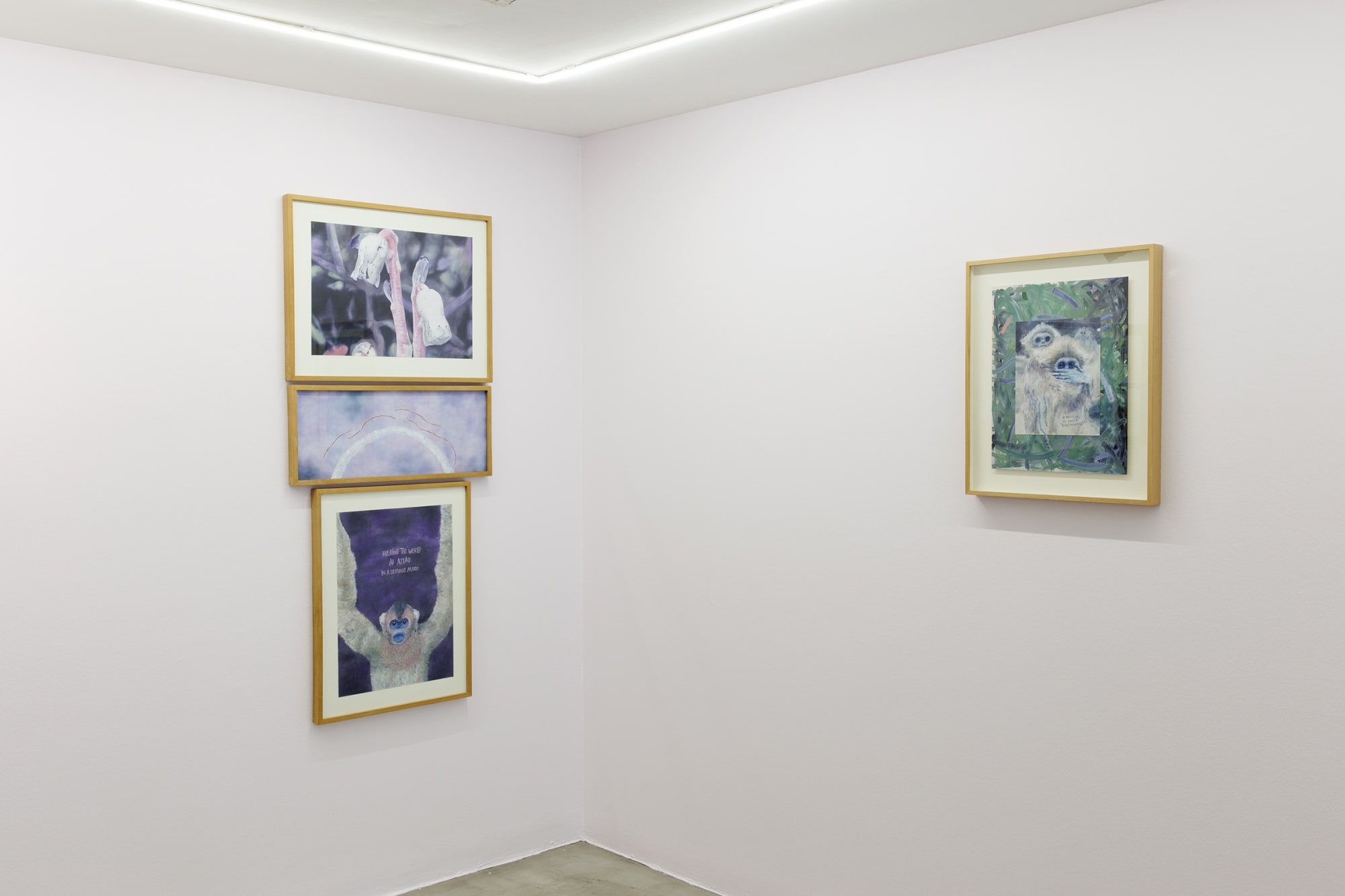 Installation view of Sugar in the Basement a solo exhibition of works by Sina Ghadaksaz.