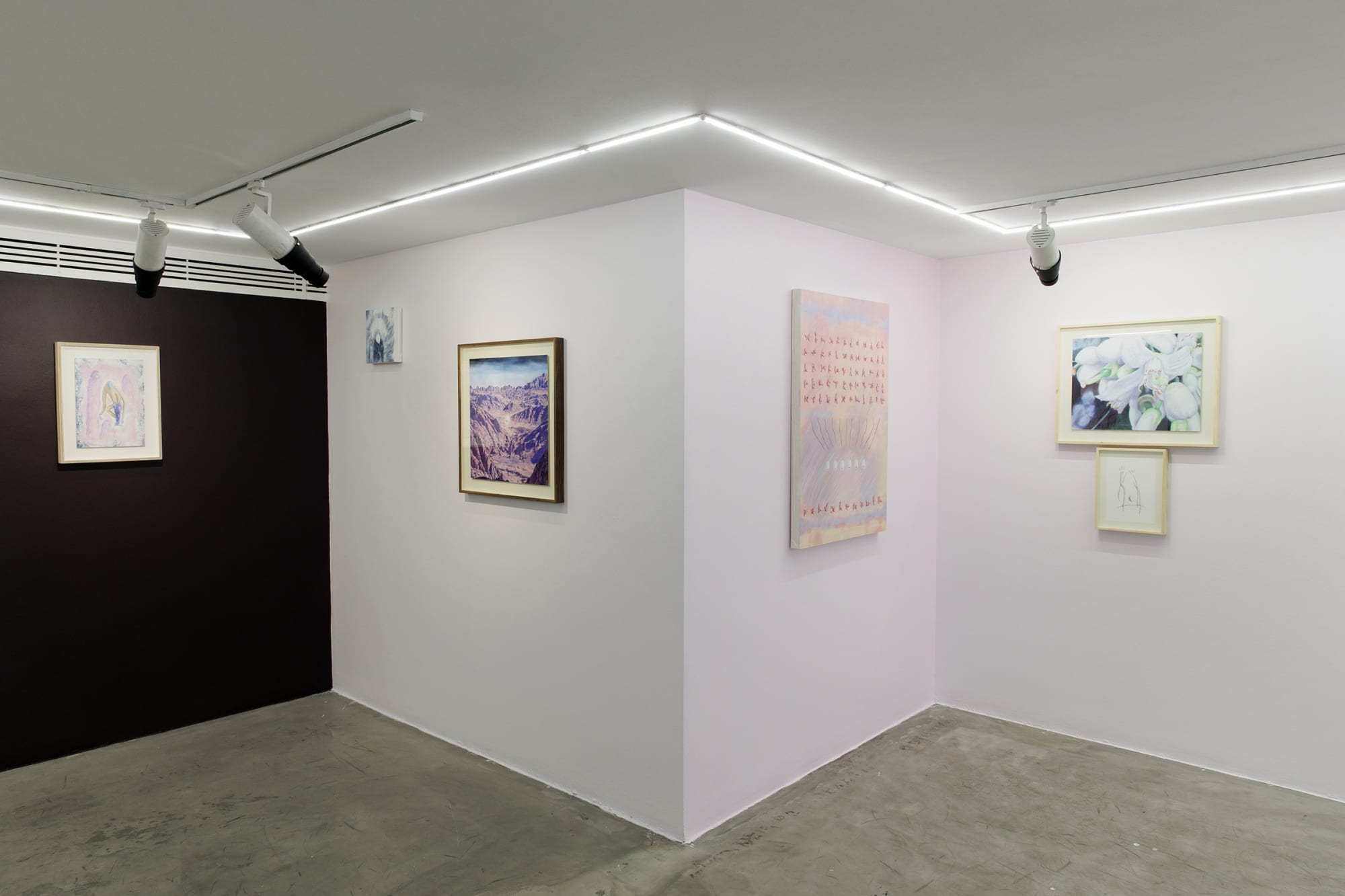 Installation view of Sugar in the Basement a solo exhibition of works by Sina Ghadaksaz.