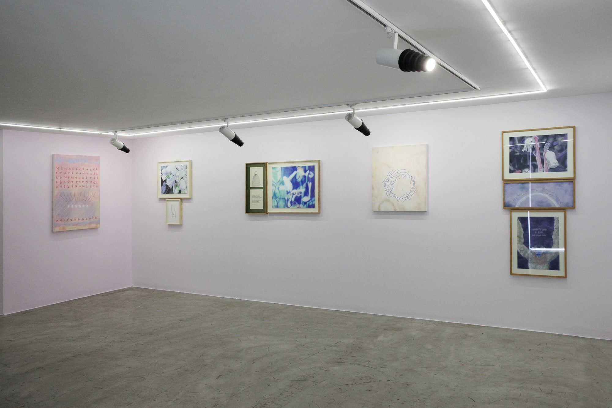 Installation view of Sugar in the Basement a solo exhibition of works by Sina Ghadaksaz.