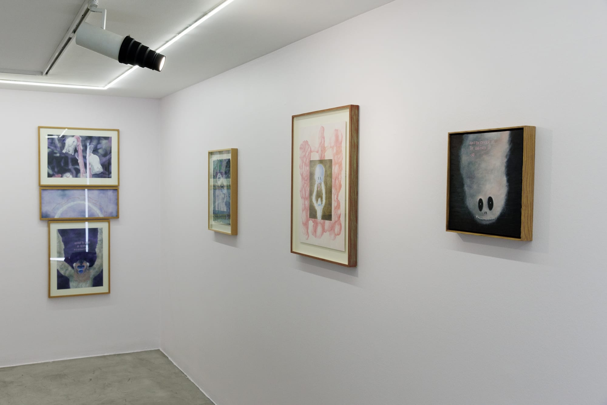 Installation view of Sugar in the Basement a solo exhibition of works by Sina Ghadaksaz.