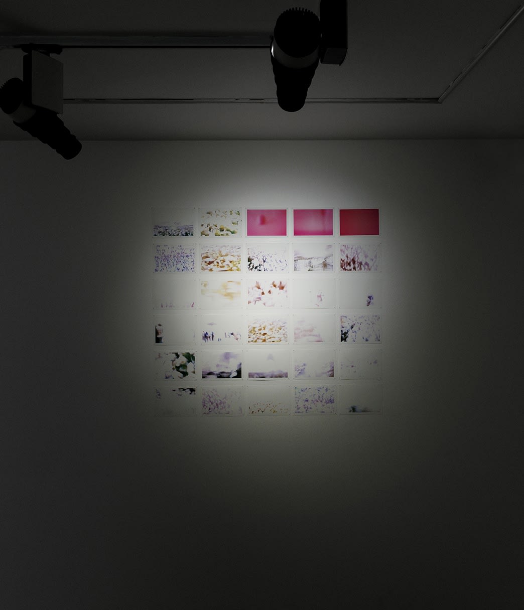 Installation view of It Comes Our Way a solo exhibition of works by Dorsa Basij.