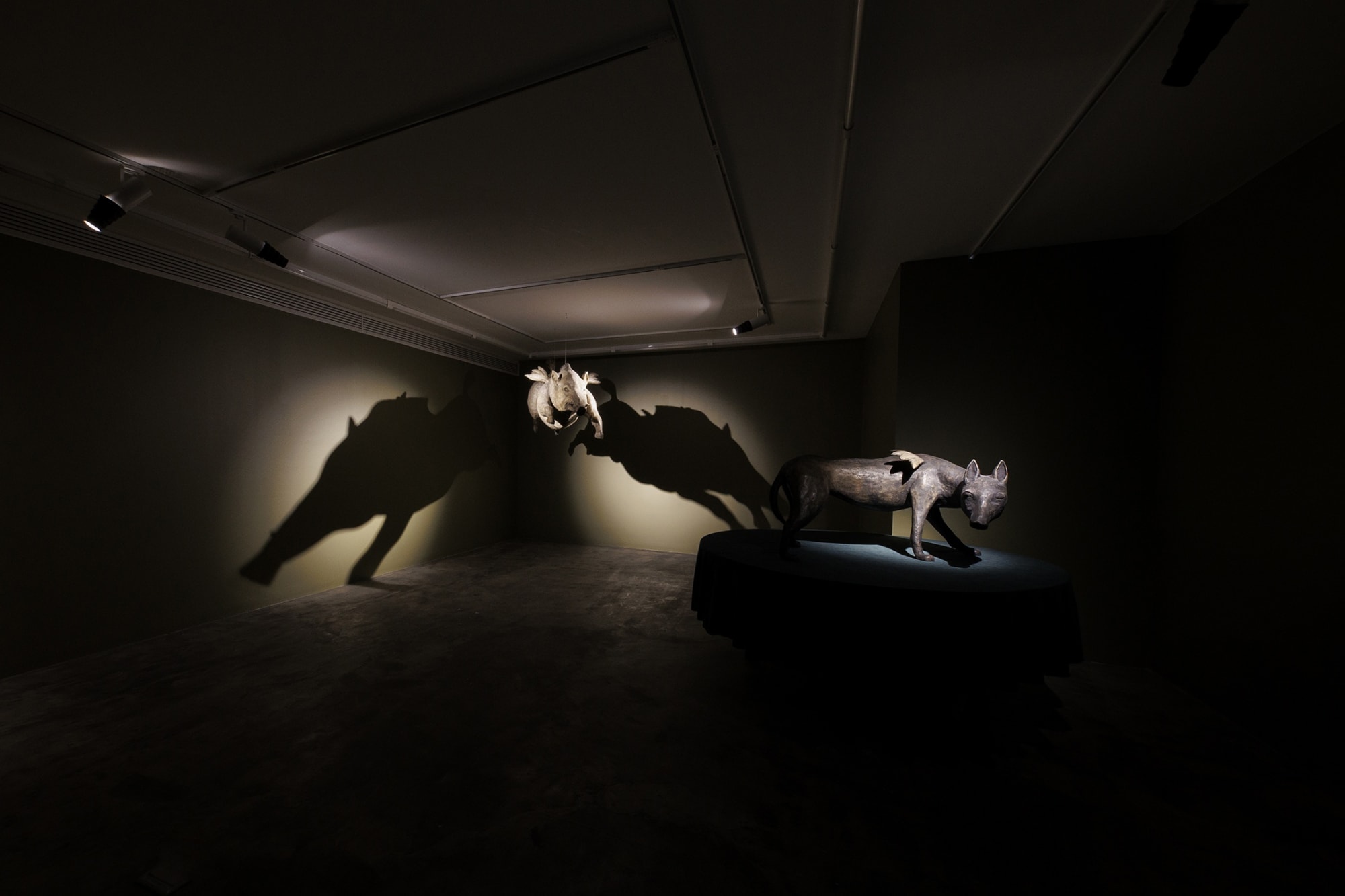 Installation view of Game a solo exhibition of works by Mohammad Hossein Maher.