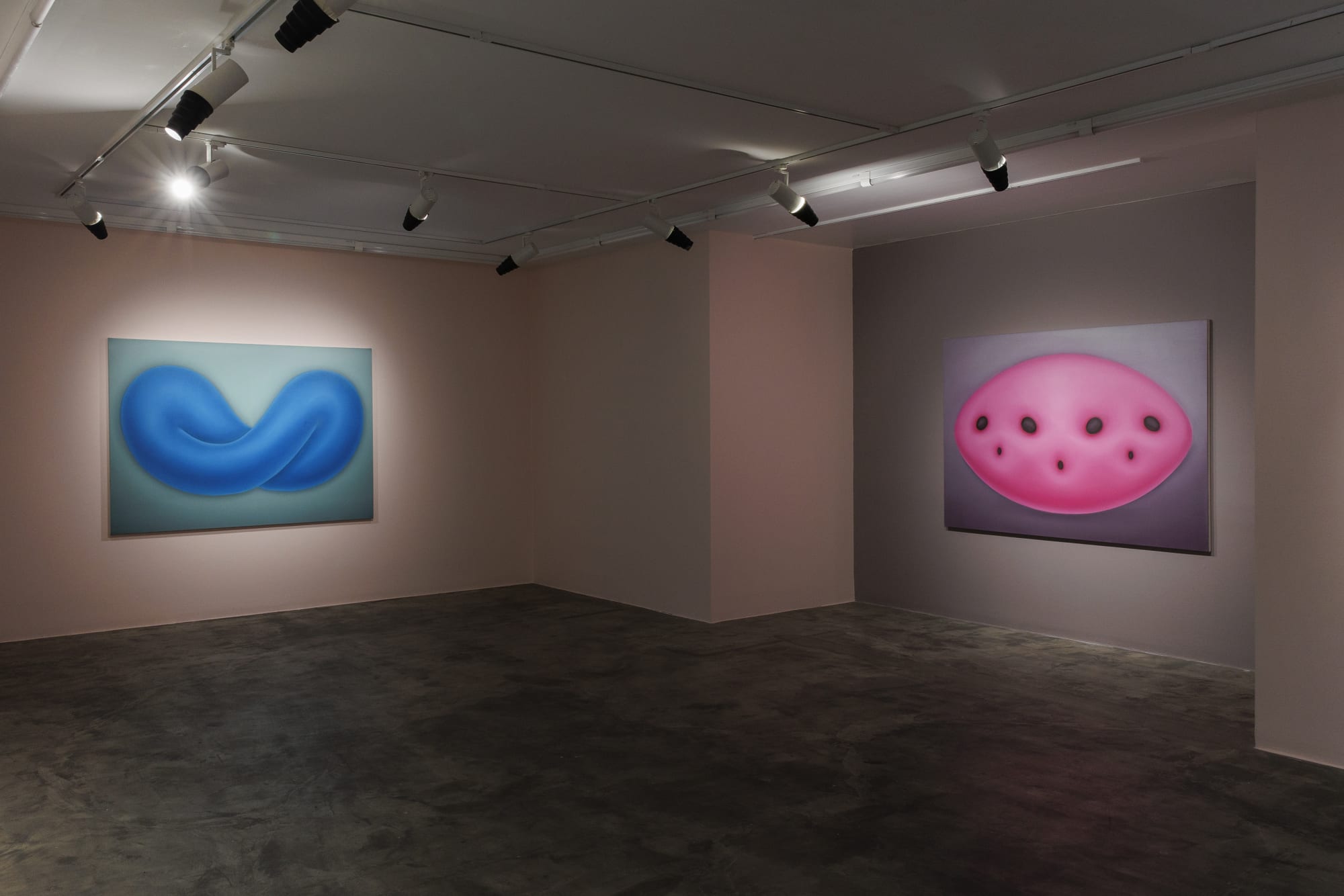 Installation View of 'Disposition' at +2 Gallery.