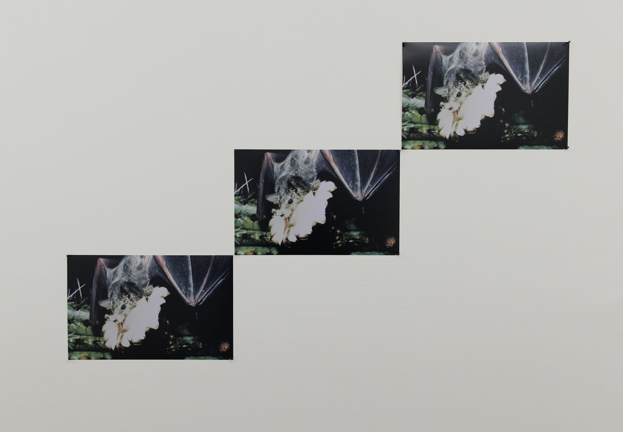 Installation View of Harder than Rock, Softer than Sand solo exhibition of works by Saman Khosravi at Dastan's Basement, 2023