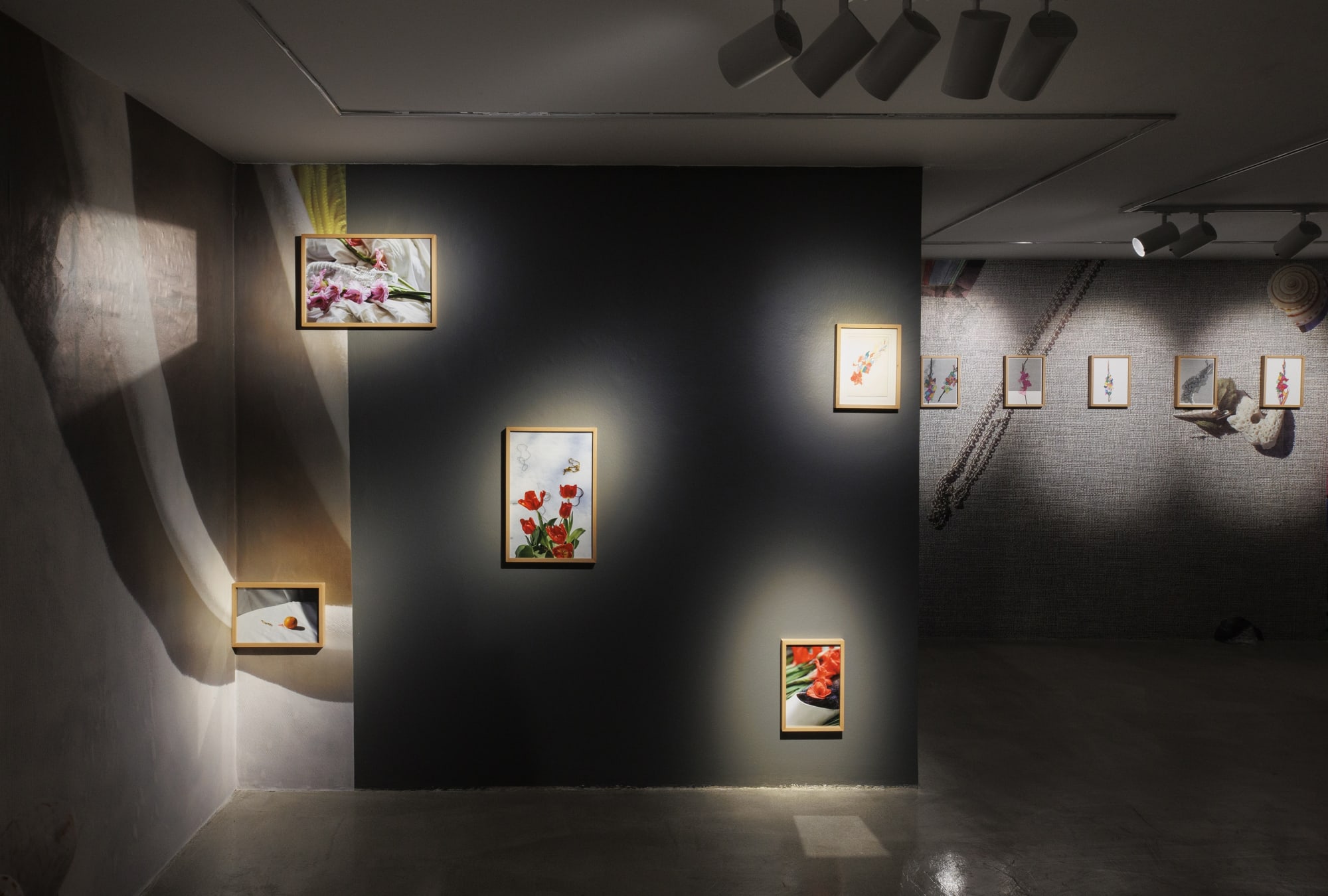 Installation View of Tulip, Solo Exhibition of Melika Shafahi, at Dastan's Basement.