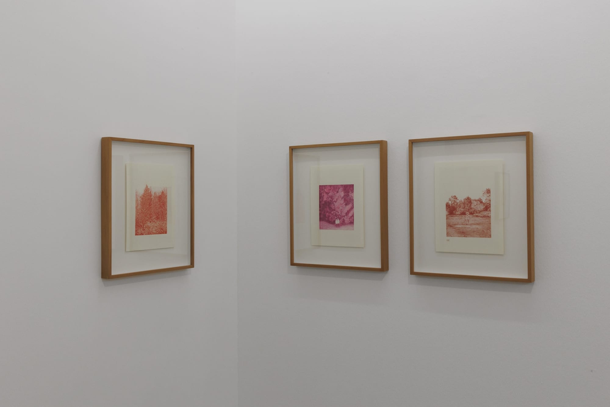 Installation View of Clouds Solo Exhibition of Works by Elahe Farzi.