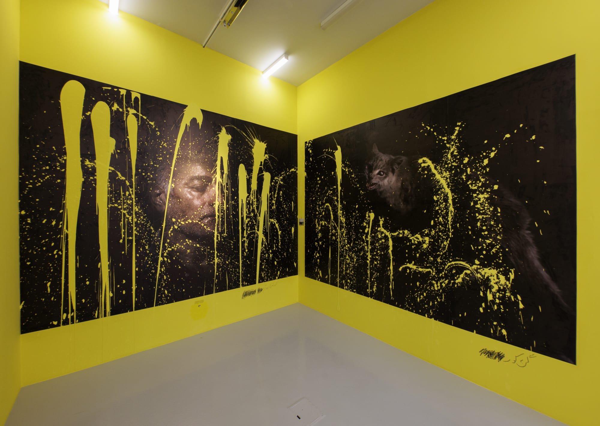 Installation view of "And They Laughed at Me'" a solo exhibition of works by Newsha Tavakolian.