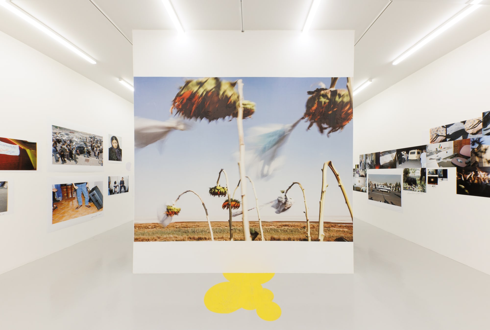 Installation view of "And They Laughed at Me'" a solo exhibition of works by Newsha Tavakolian.