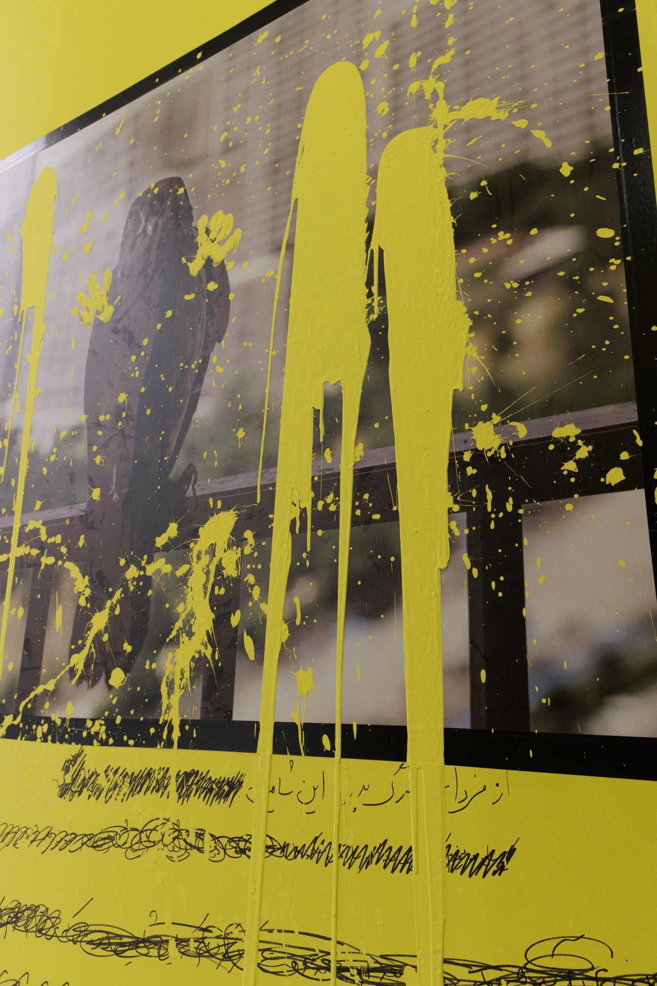 Installation view of "And They Laughed at Me'" a solo exhibition of works by Newsha Tavakolian.