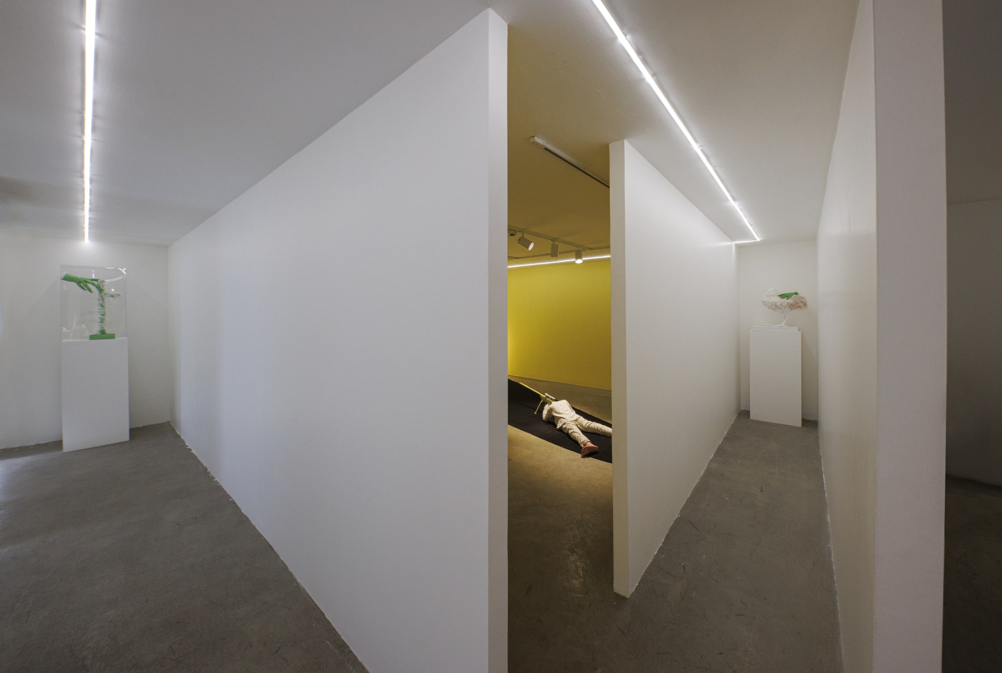 Installation View of Temptation of Green Gloves a solo exhibition of works by Rana Dehghan.