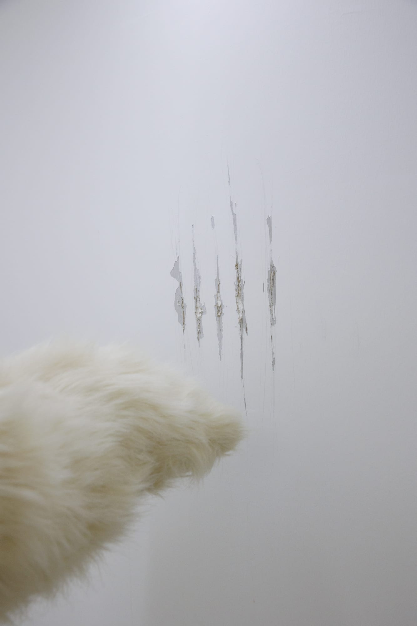 Installation View of Temptation of Green Gloves a solo exhibition of works by Rana Dehghan.