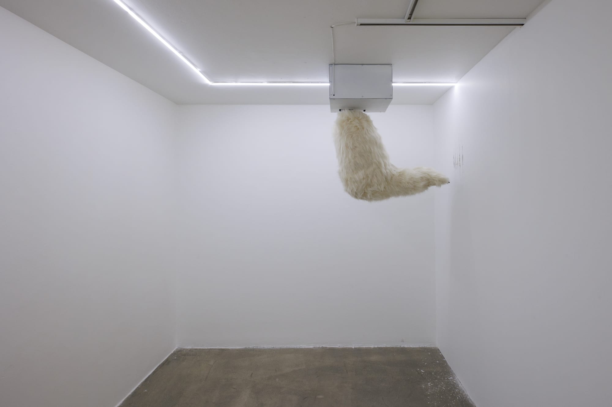 Installation View of Temptation of Green Gloves a solo exhibition of works by Rana Dehghan.