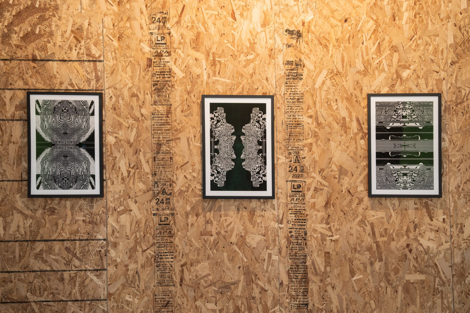 Installation view of Liminal a solo presentation of works by Ali Phi.