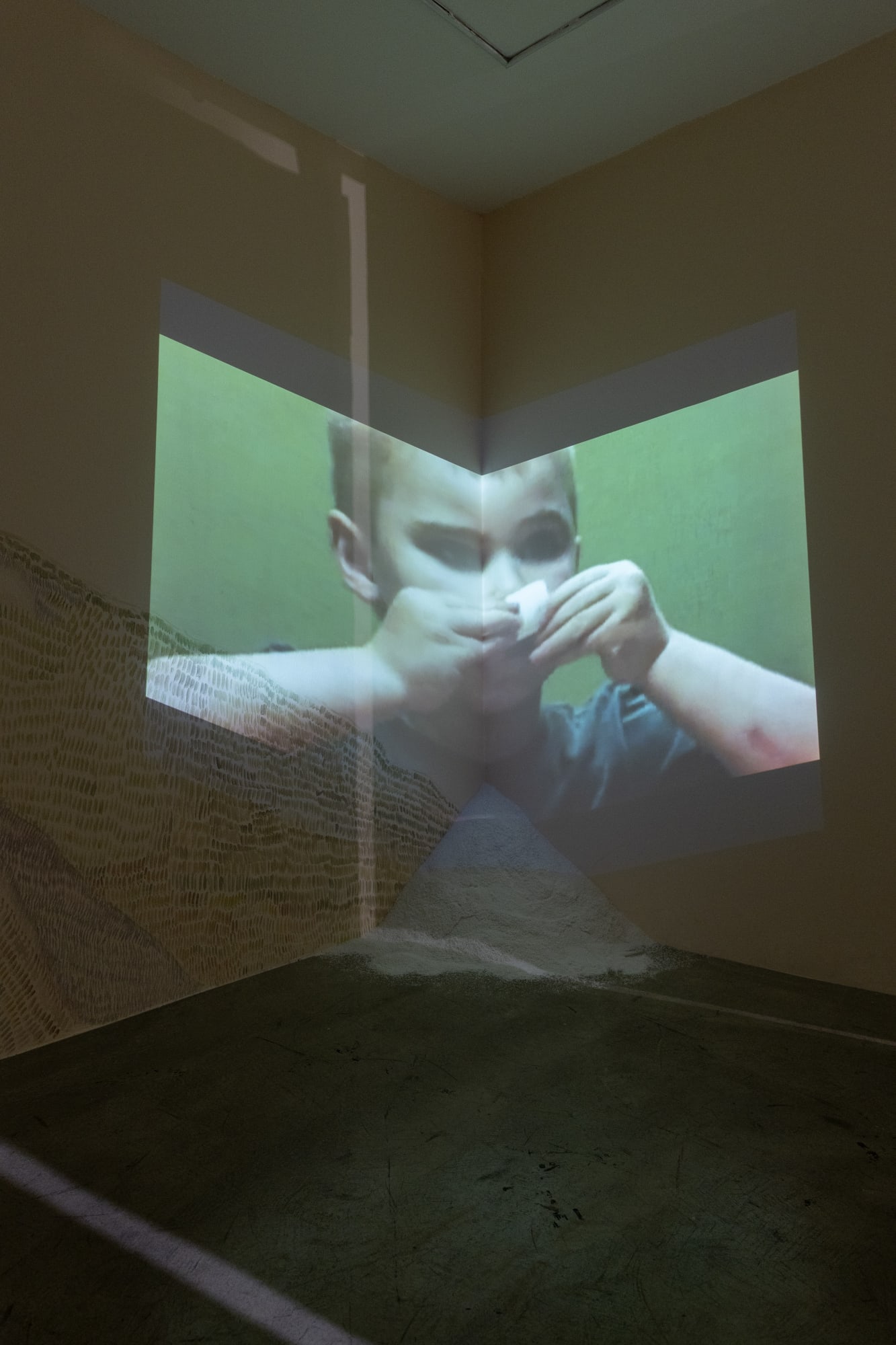 Installation view of Sugar and the Sweetness of Evil a solo exhibition of works by Sina Ghadaksaz.