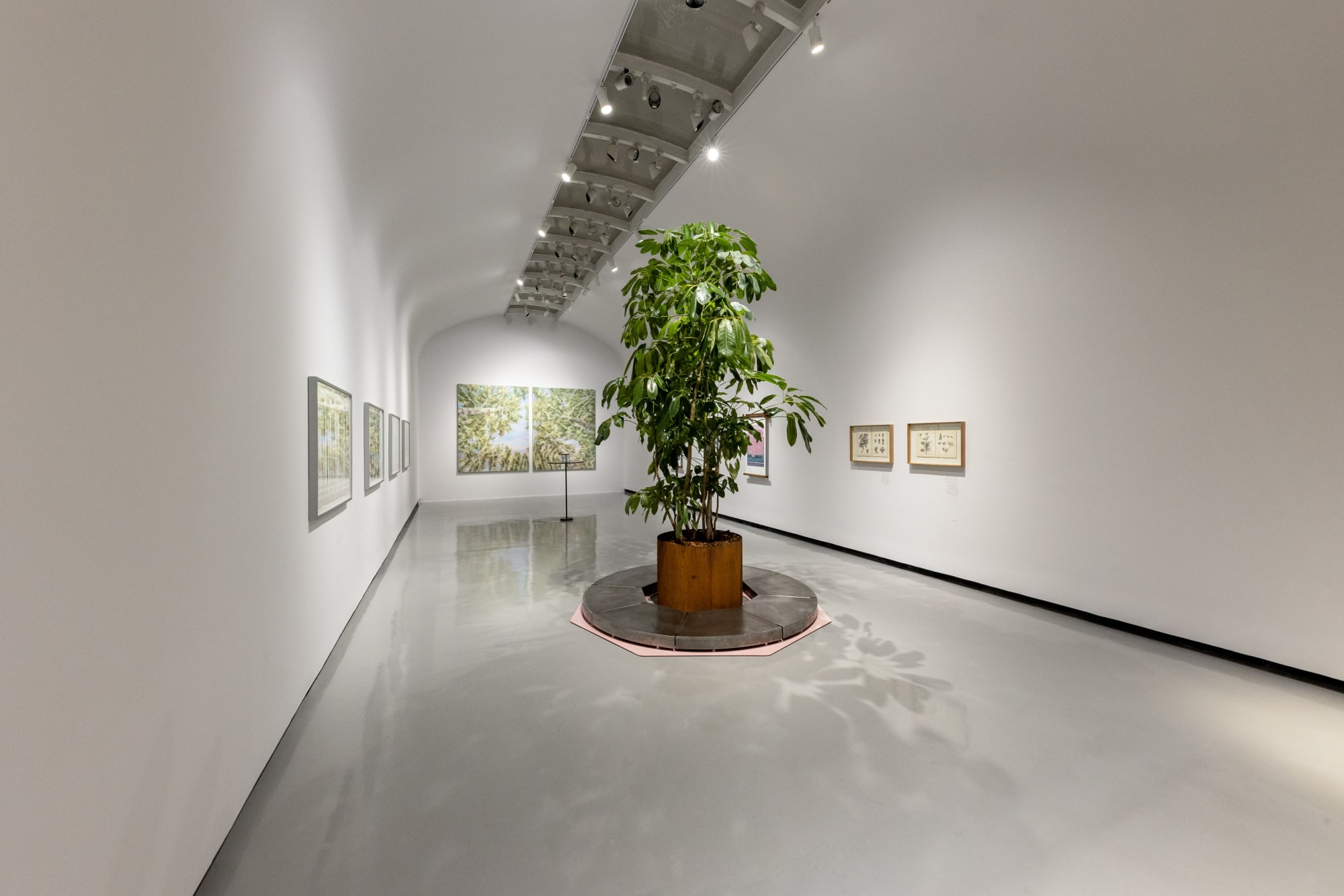 Installation view of Golden Sphere a group presentation of works +2 [Deh-Vanak].