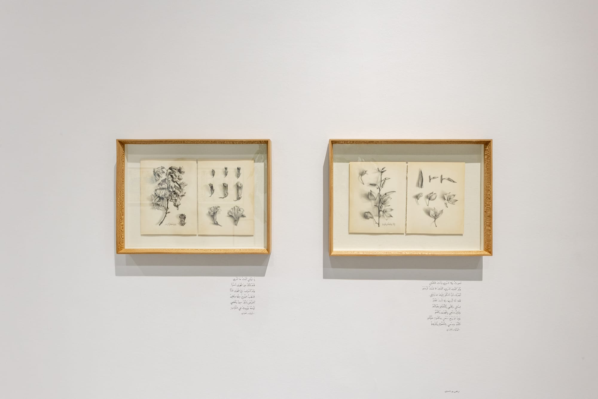 Installation view of Golden Sphere a group presentation of works +2 [Deh-Vanak].