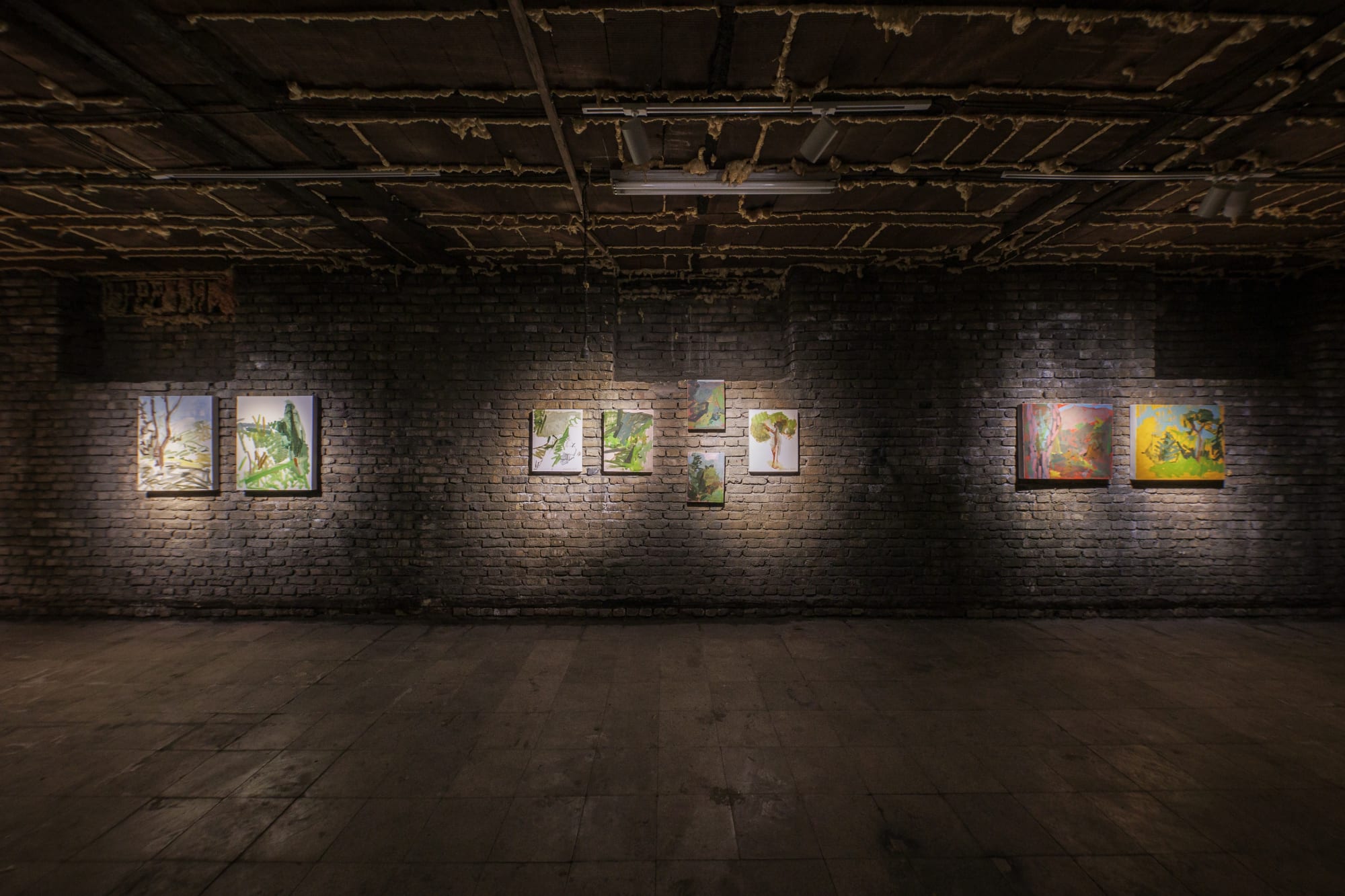 Installation view of The Ajoon Tree in New Habitat a solo exhibition of works by Amirhosein Akhavan.