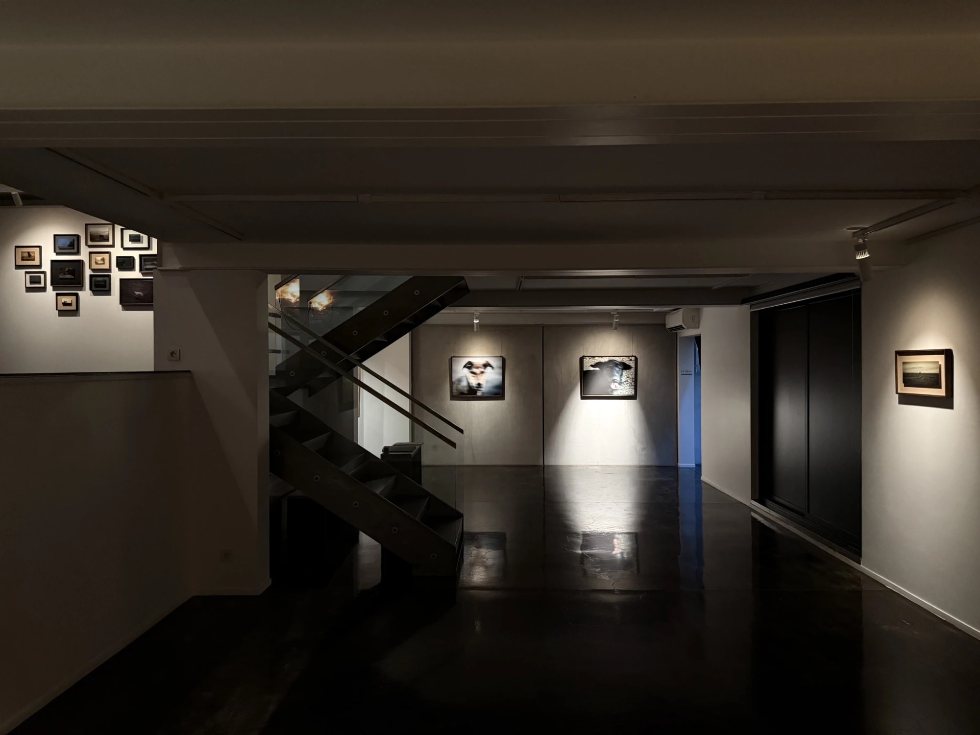 Installation View of Dogs a solo presentation of works by Matin Jameie.