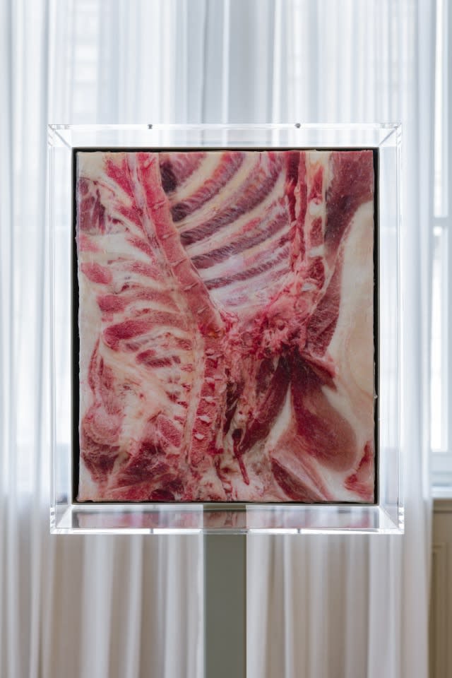 Installation View of Shahryar Neshat works in collaboration with Sylvia Kouvali at Art Basel 2025 in Basel.