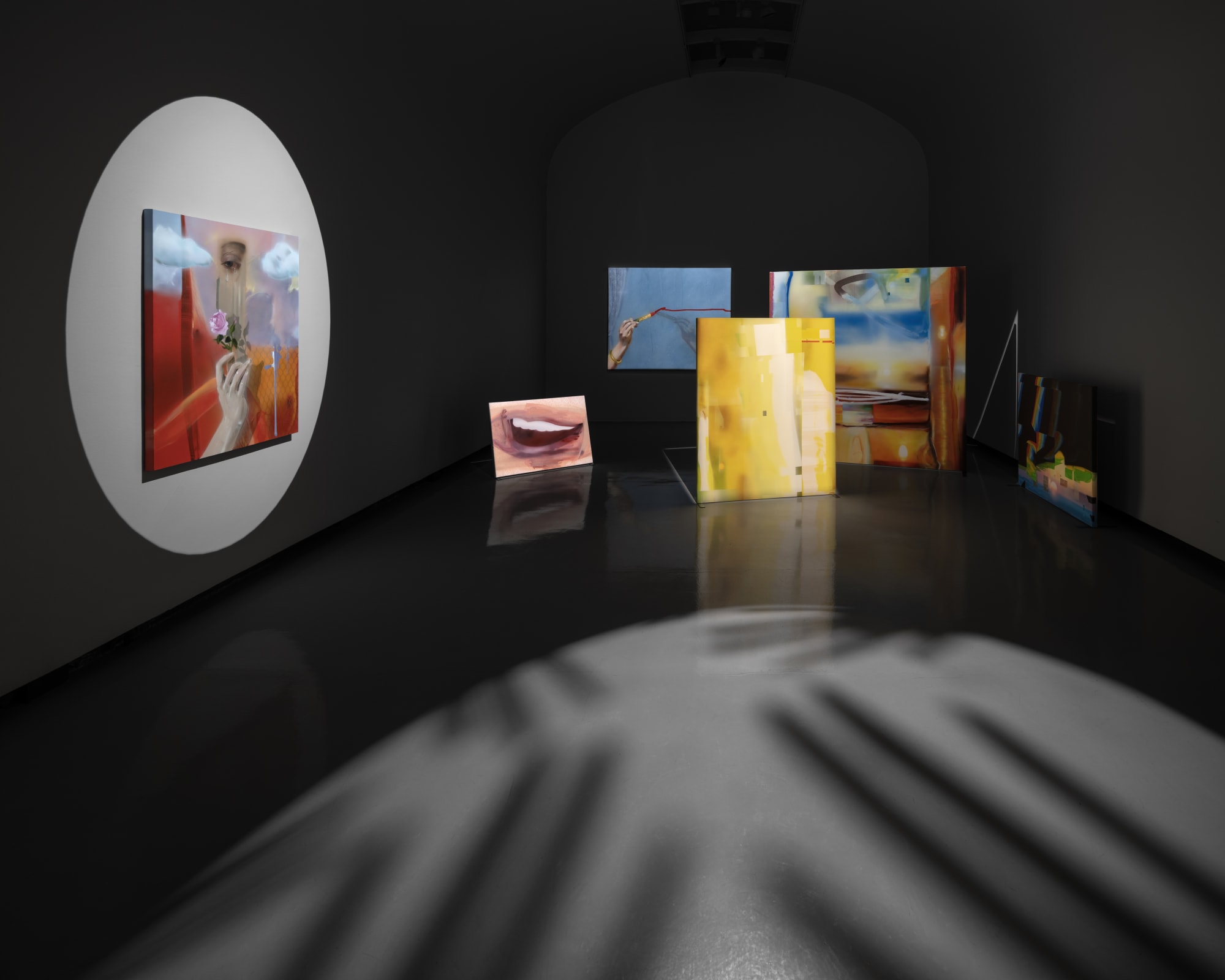 Installation View of Violence of Beauty a solo presentation of works by Hoda Kashiha.