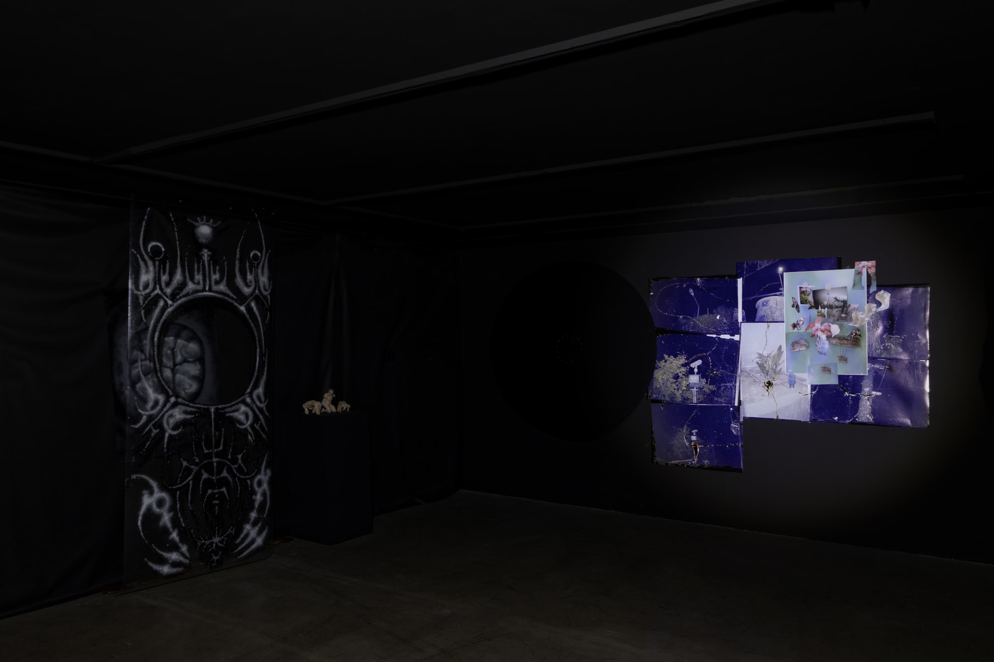 Intsallation View of Blind Elephant a group presentation of works.