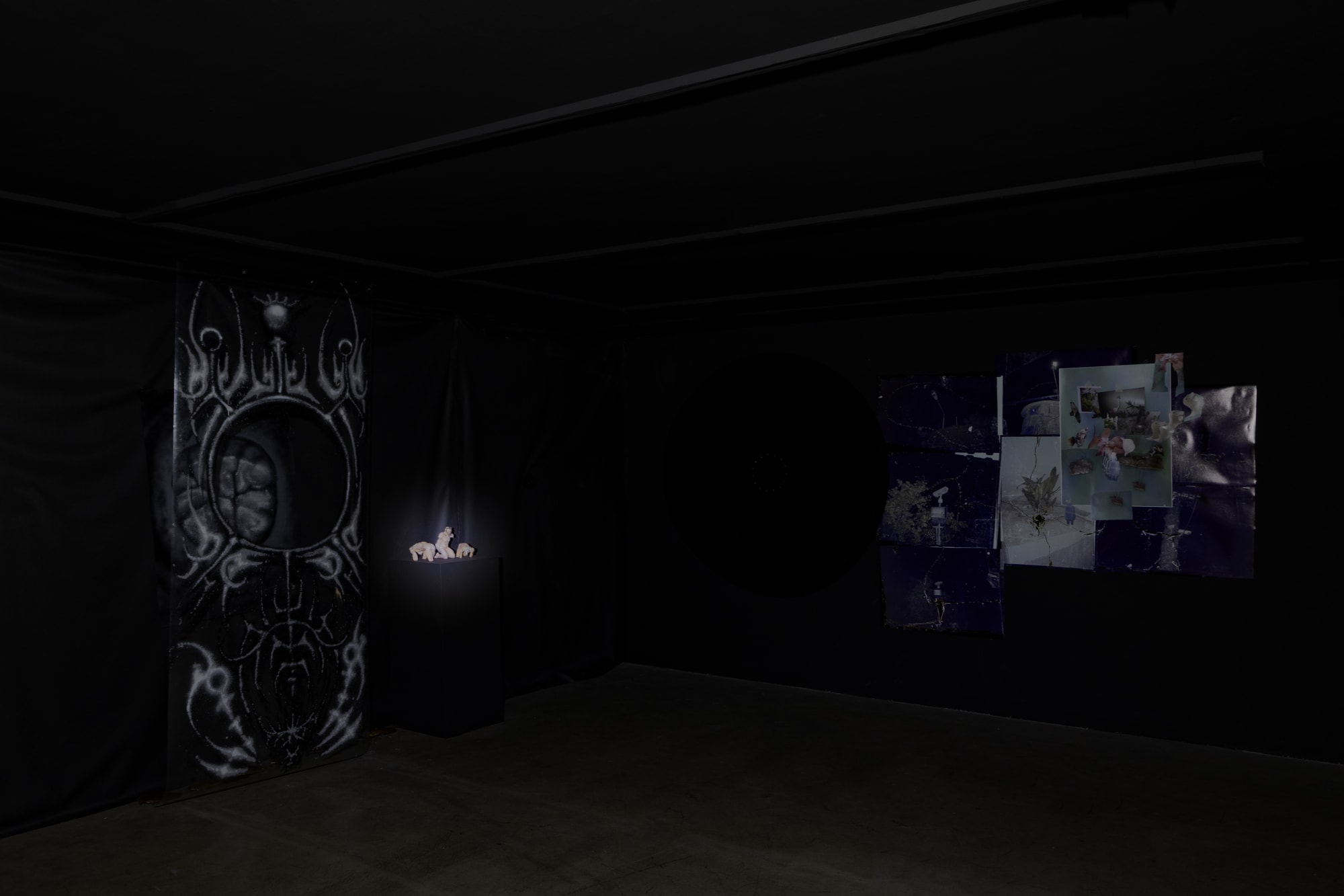 Intsallation View of Blind Elephant a group presentation of works.