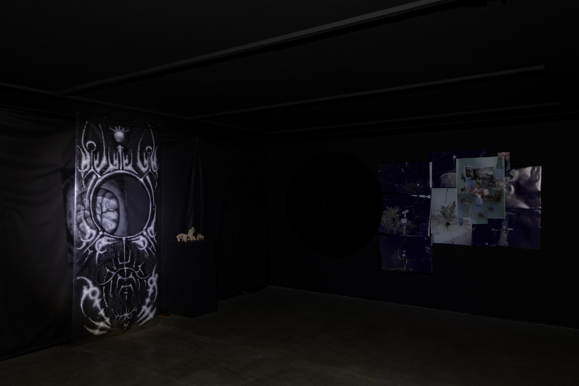 Intsallation View of Blind Elephant a group presentation of works.