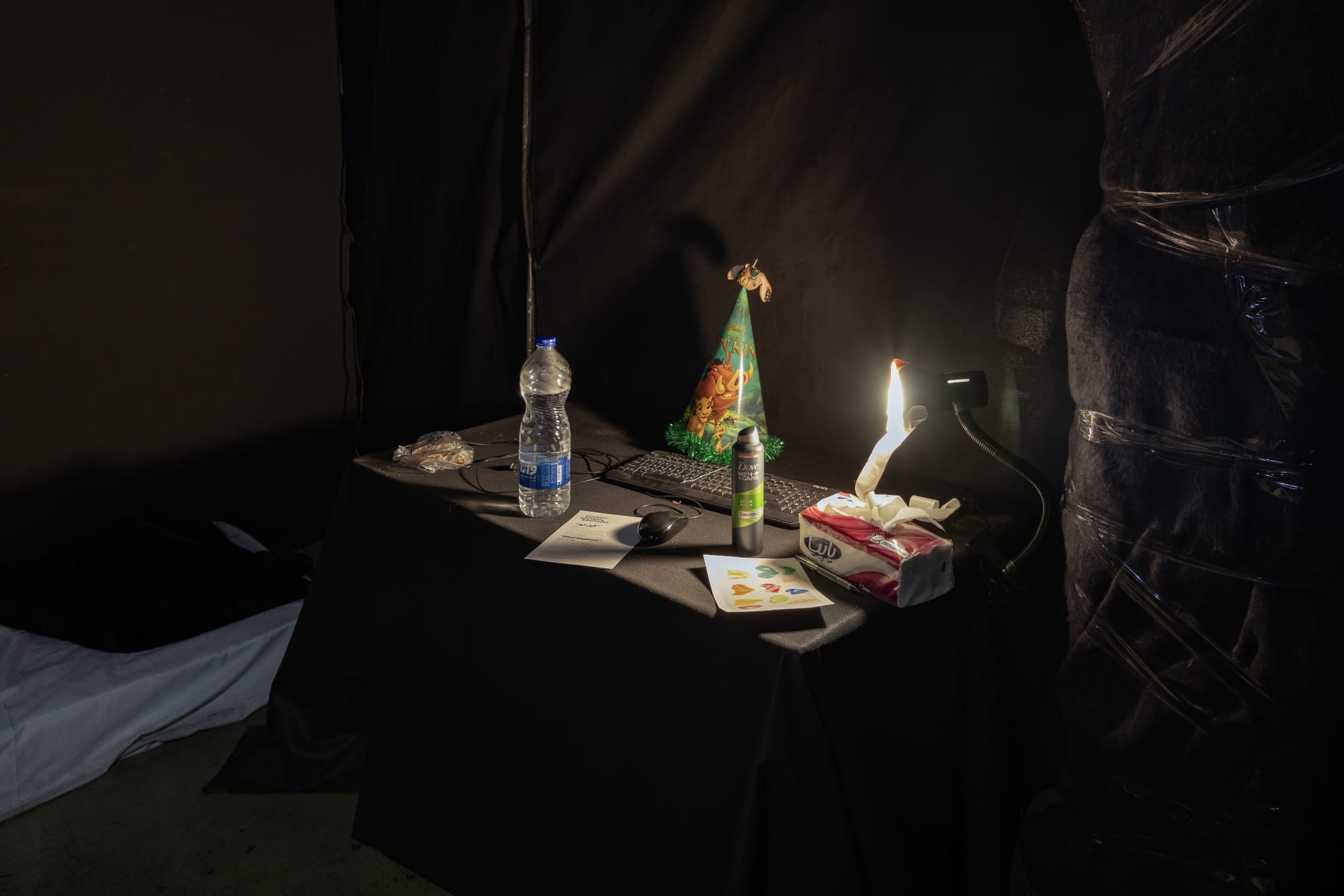 Intsallation View of Blind Elephant a group presentation of works.