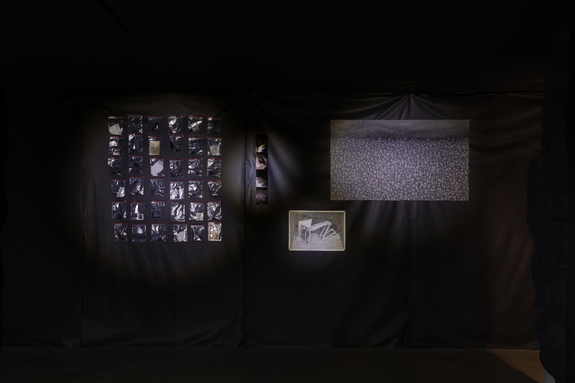 Intsallation View of Blind Elephant a group presentation of works.