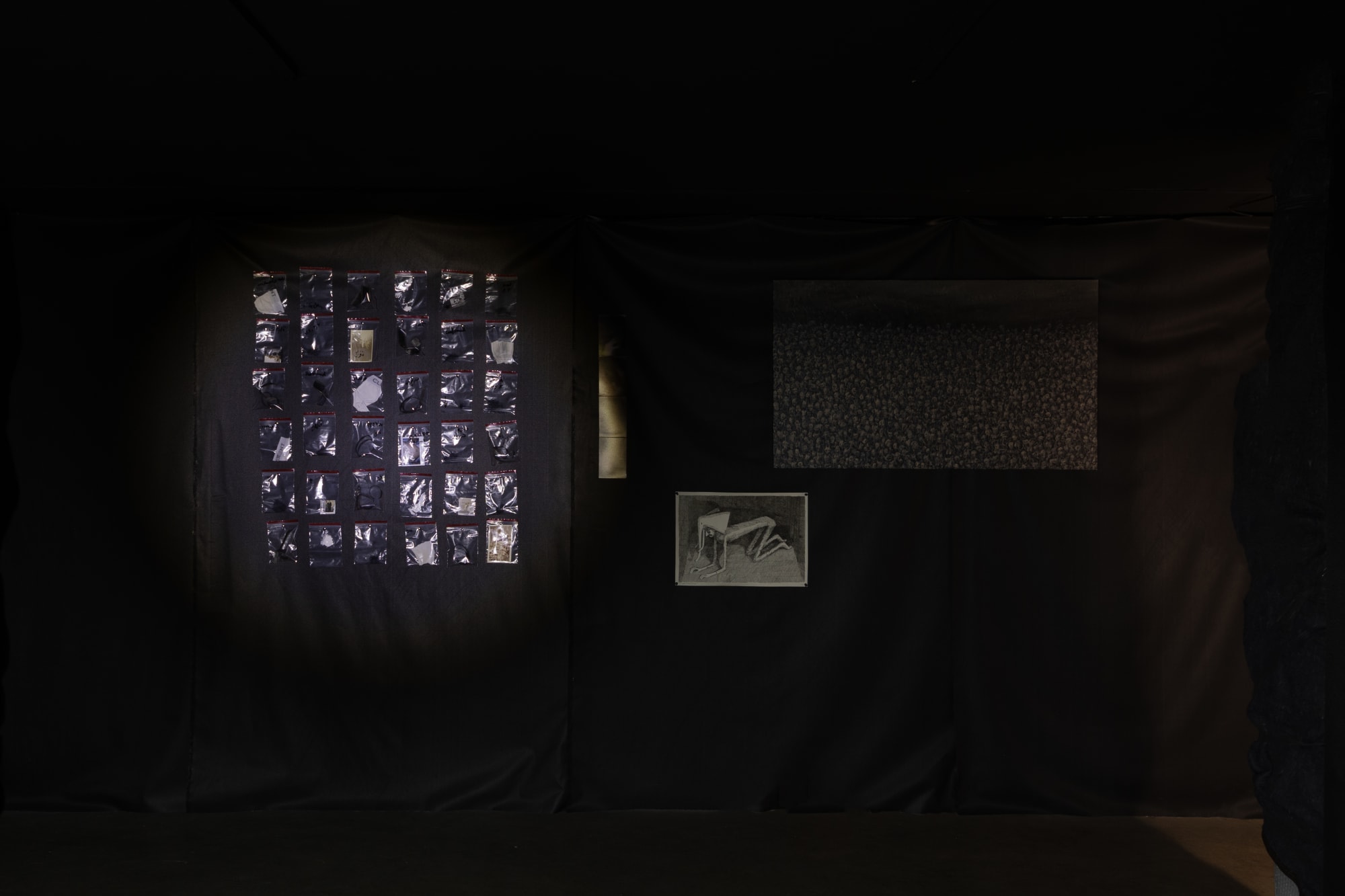 Intsallation View of Blind Elephant a group presentation of works.