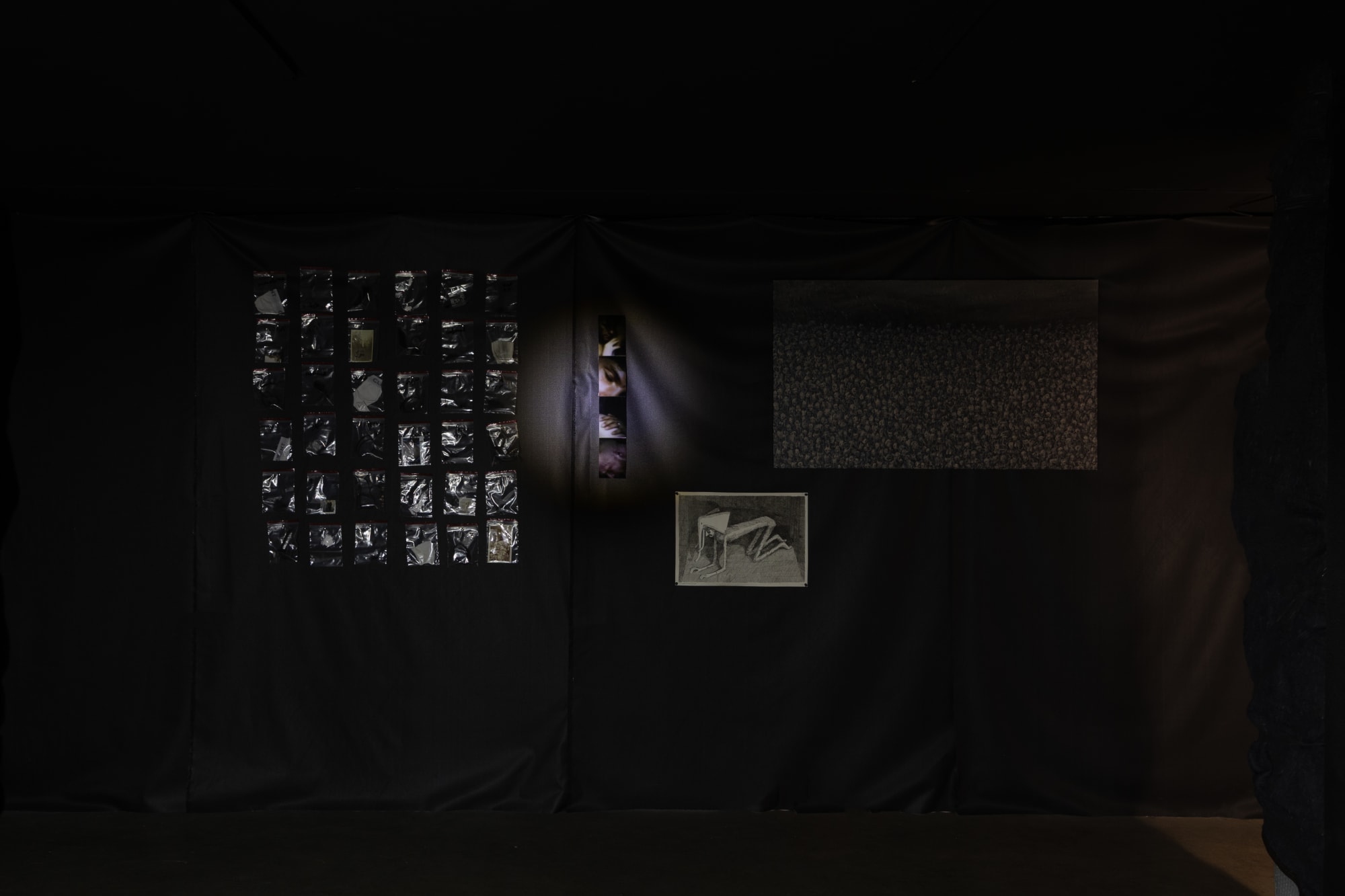 Intsallation View of Blind Elephant a group presentation of works.