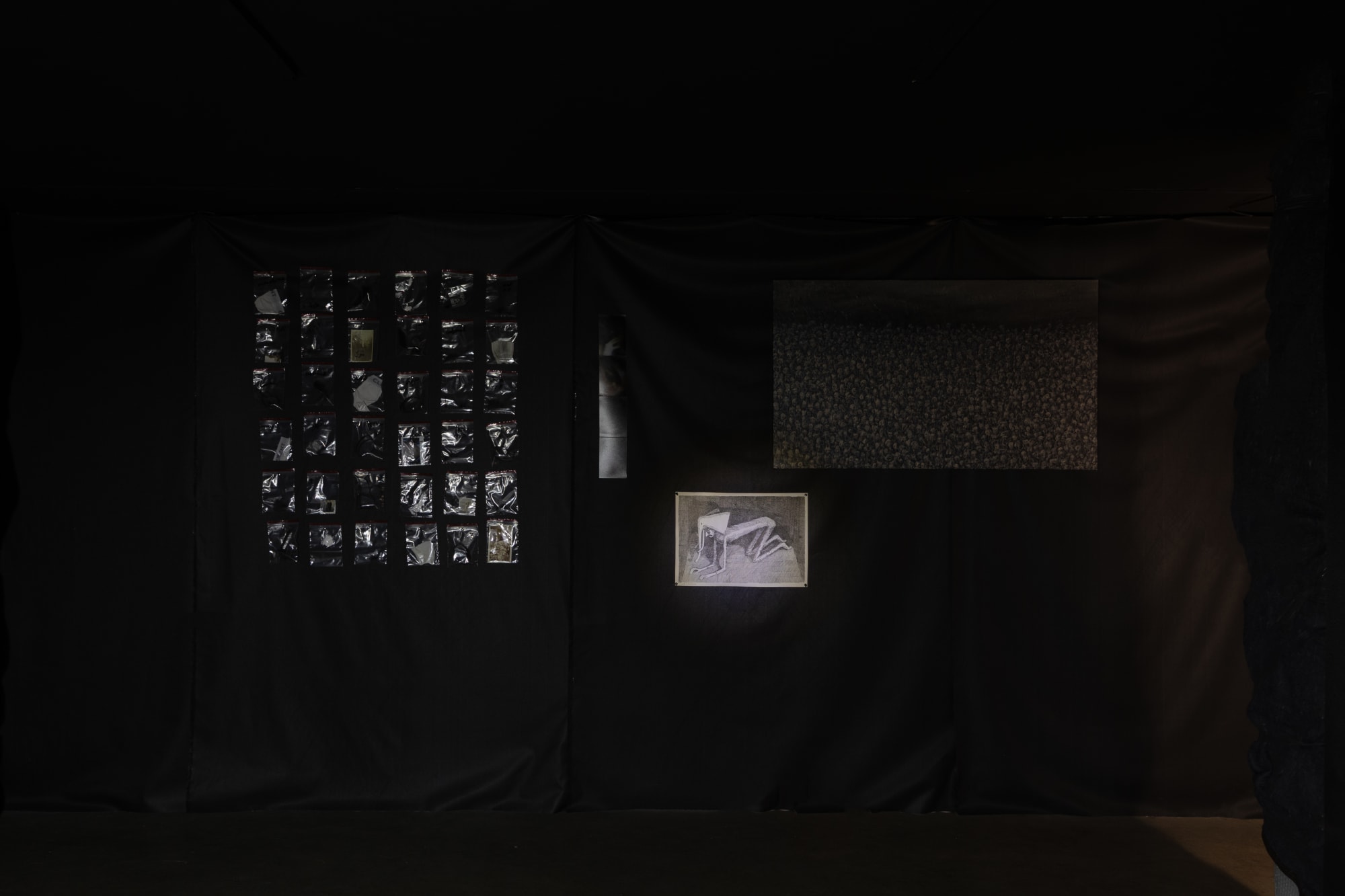 Intsallation View of Blind Elephant a group presentation of works.