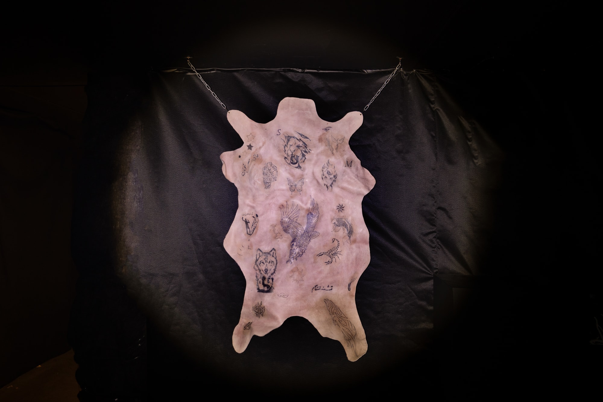 Intsallation View of Blind Elephant a group presentation of works.