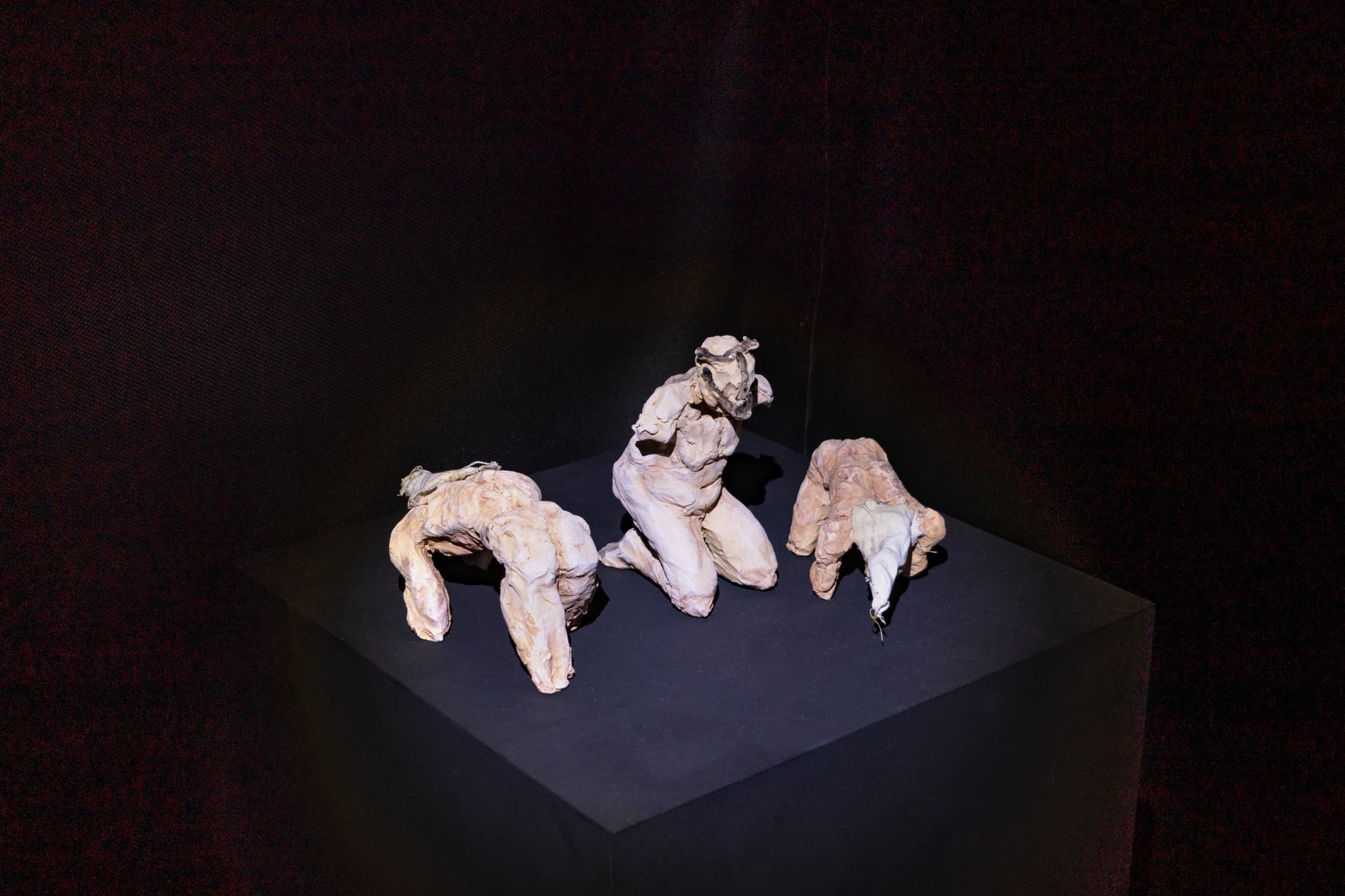 Intsallation View of Blind Elephant a group presentation of works.