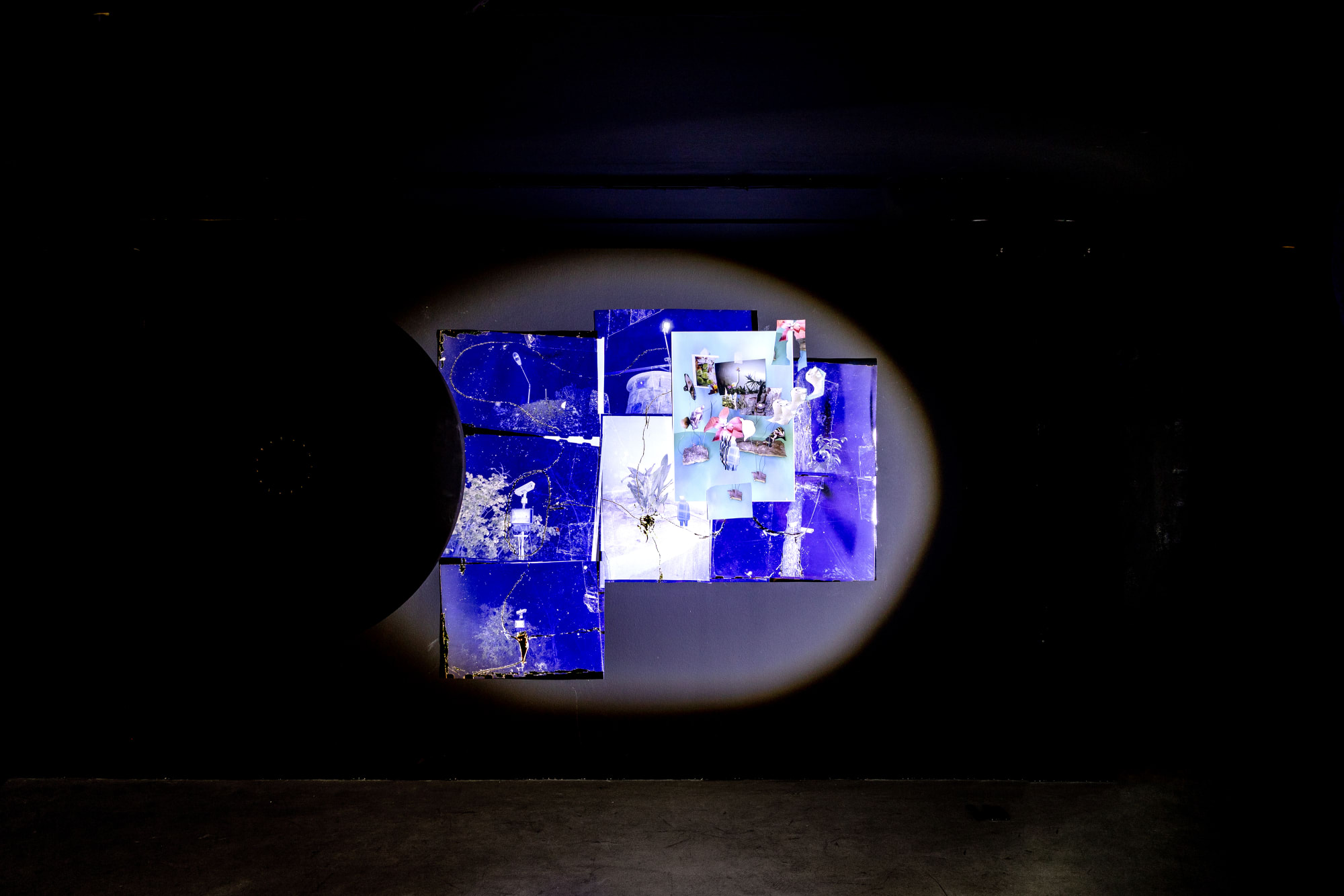 Intsallation View of Blind Elephant a group presentation of works.