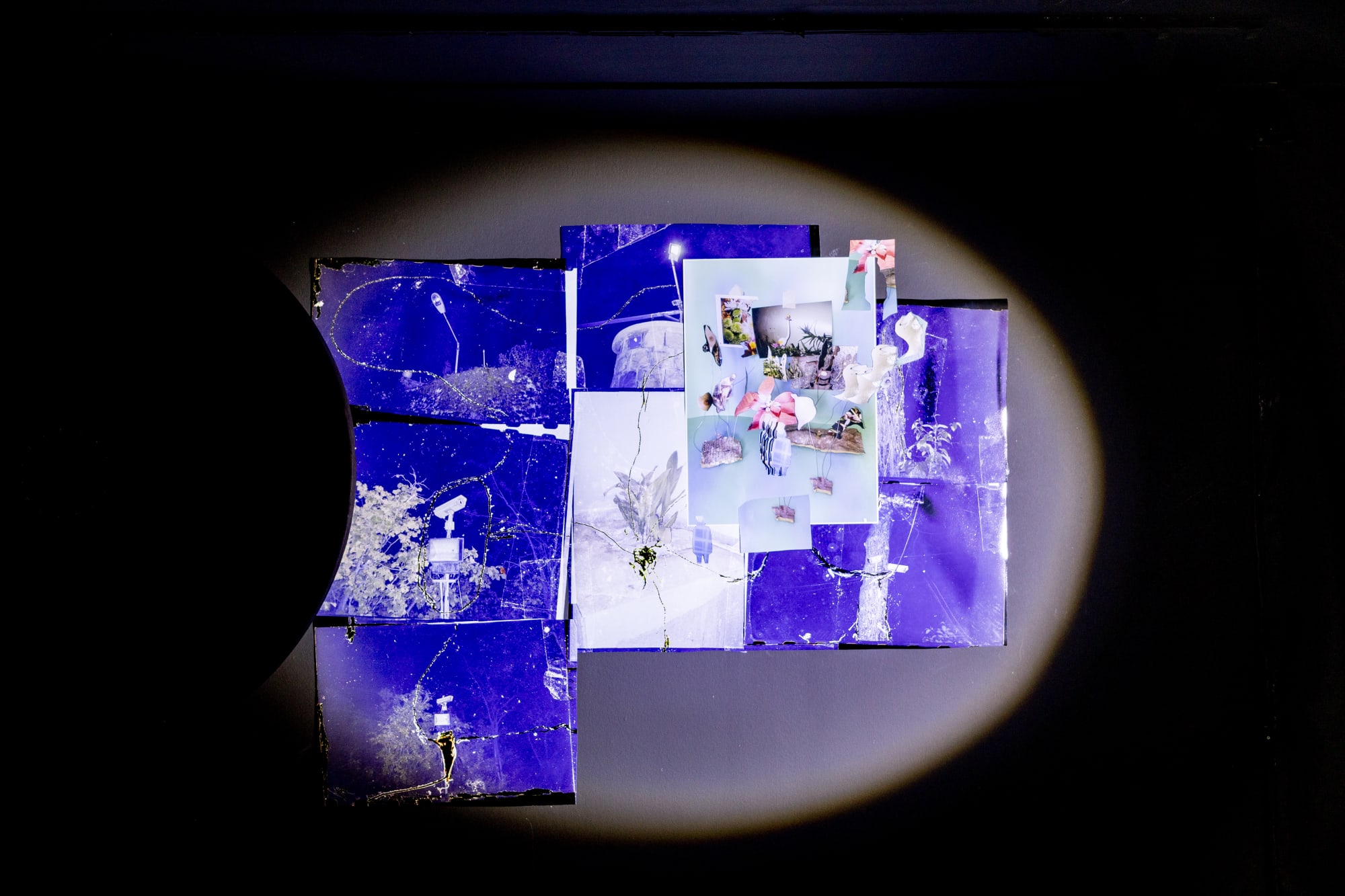 Intsallation View of Blind Elephant a group presentation of works.