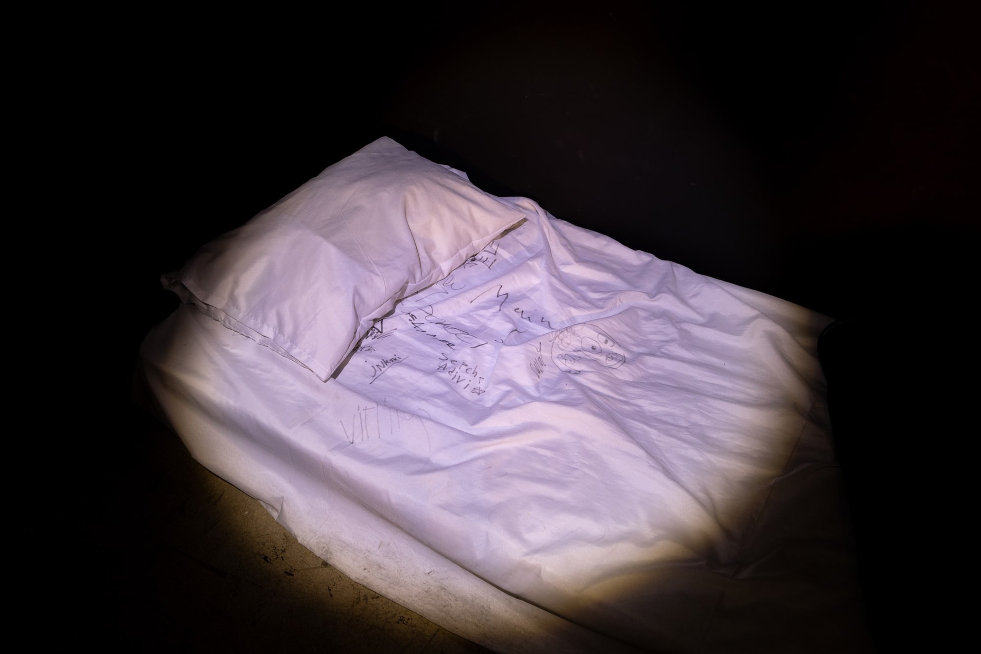 Intsallation View of Blind Elephant a group presentation of works.