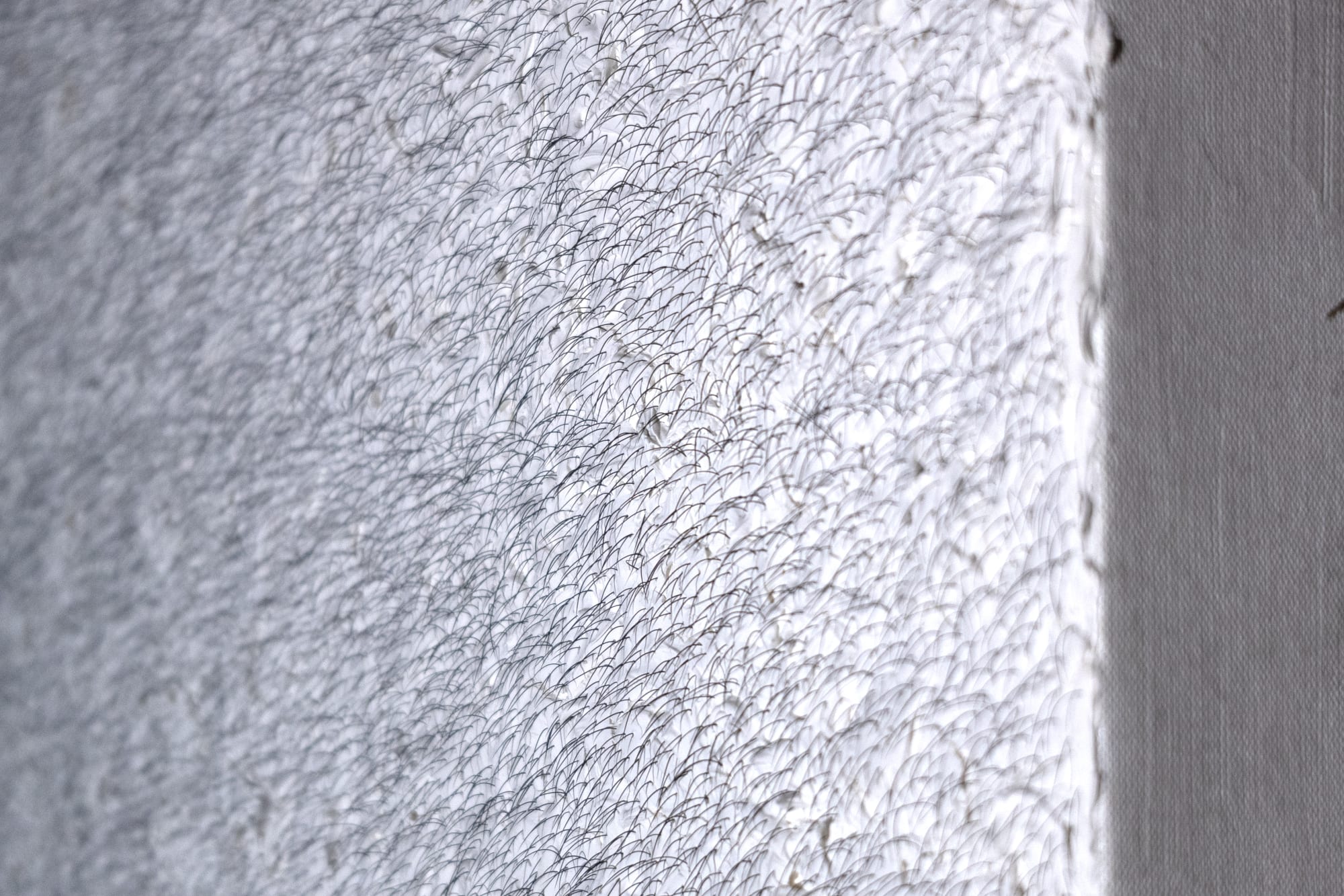 Intsallation View of Blind Elephant a group presentation of works.