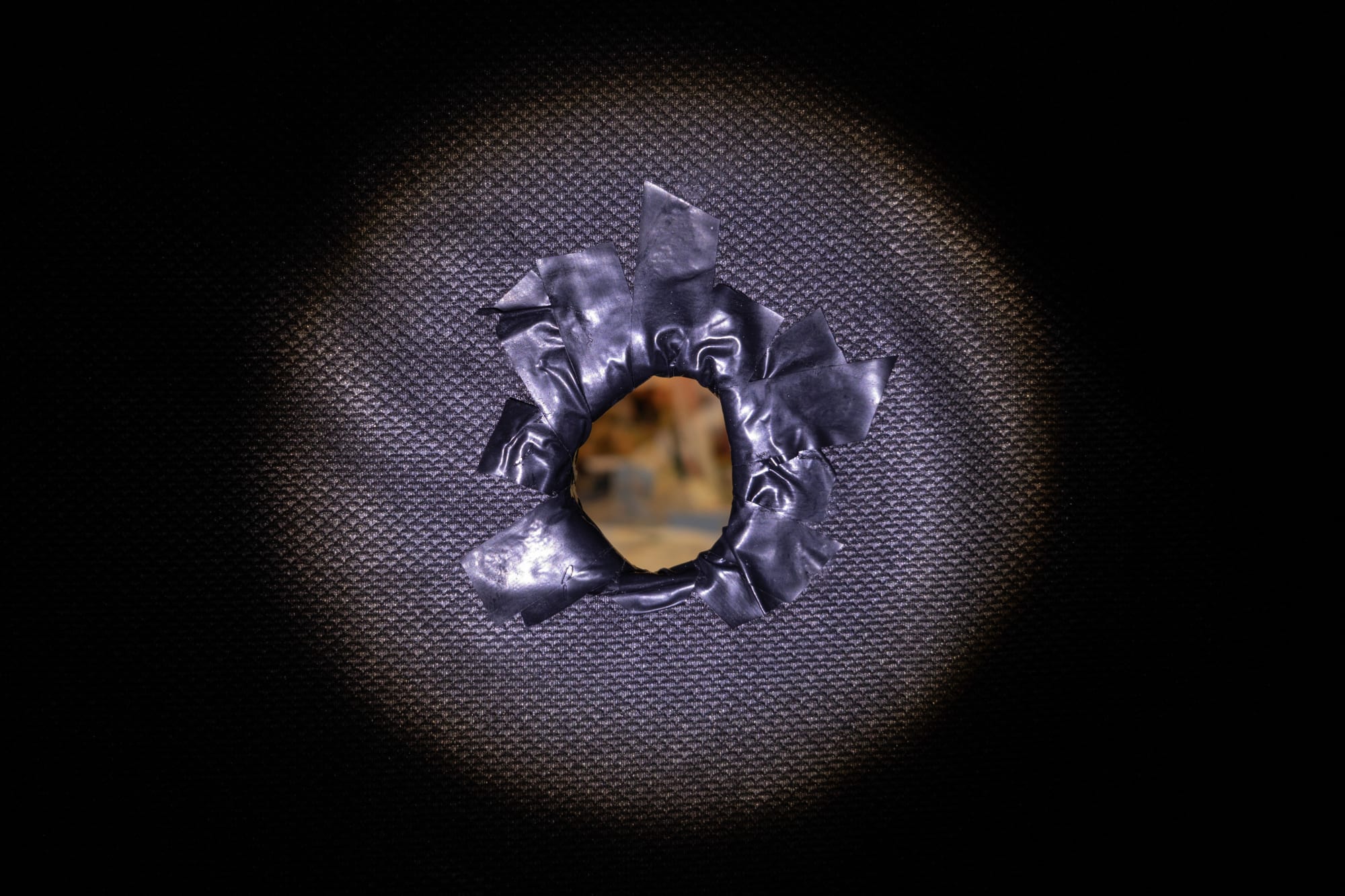 Intsallation View of Blind Elephant a group presentation of works.