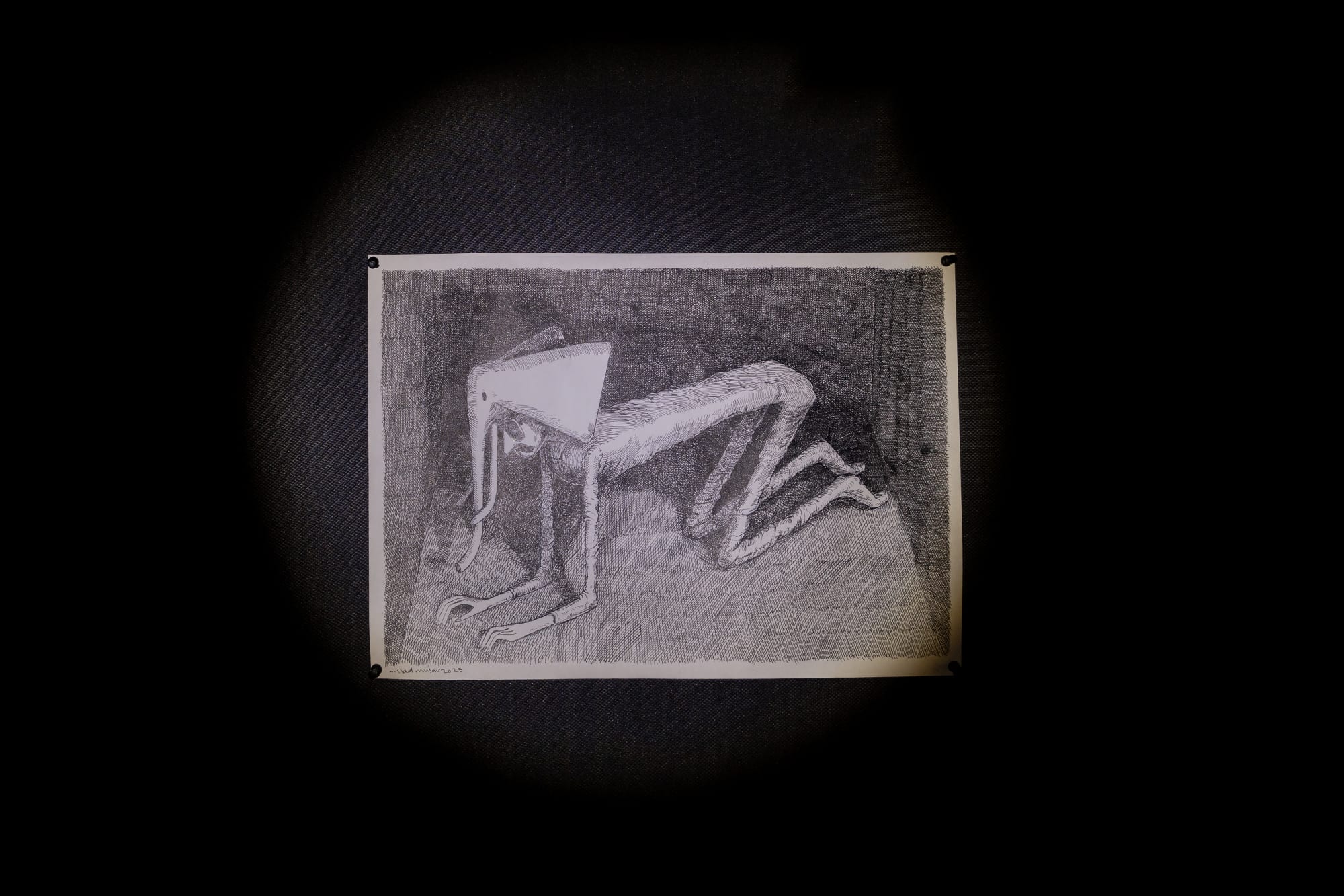 Intsallation View of Blind Elephant a group presentation of works.