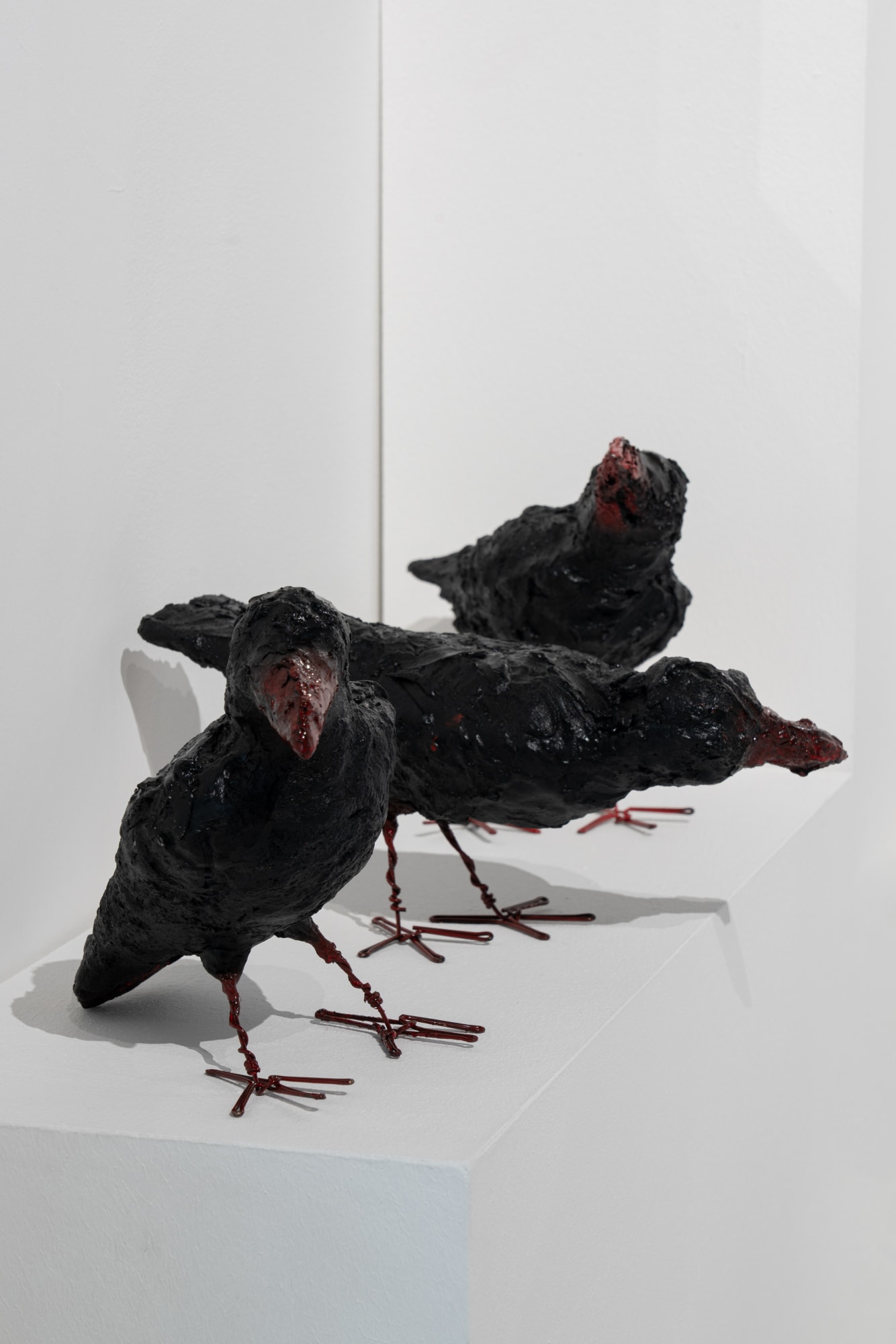 Intsallation View of 8 Fair Episode 2 a group presentation of works.