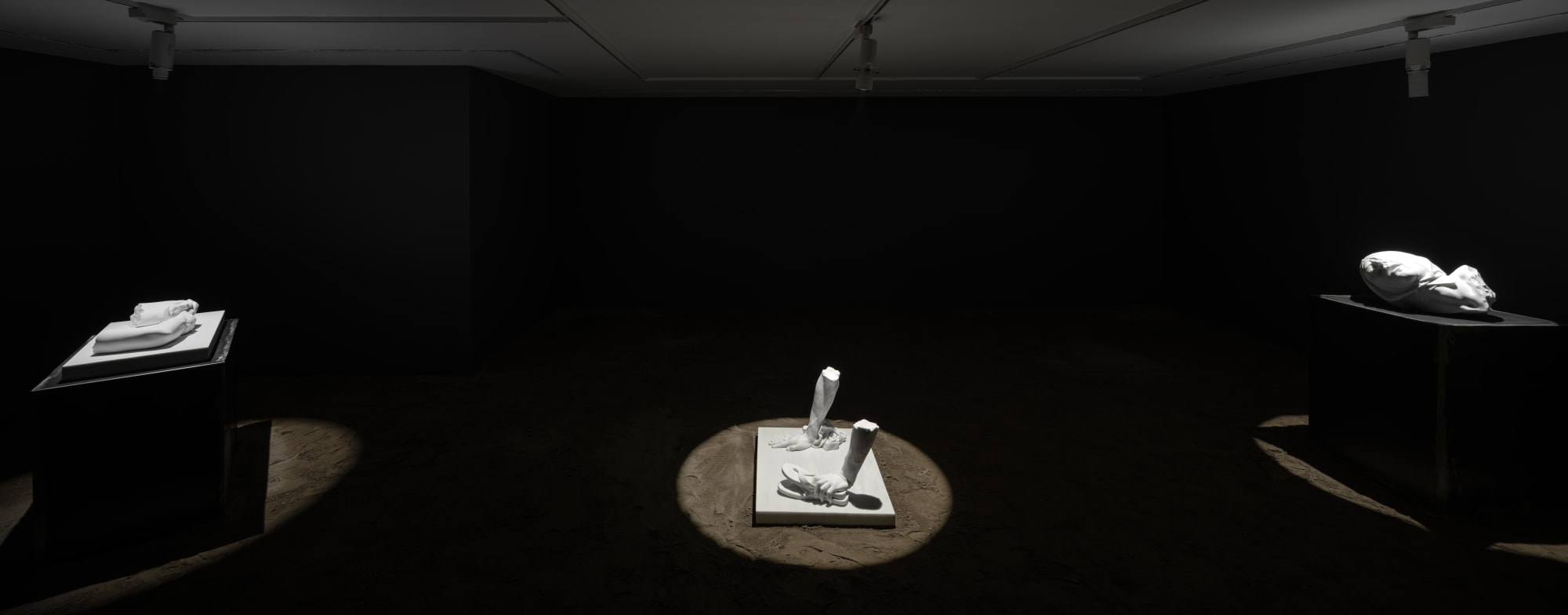 Installation view of To Be Made Flesh Again After James Baldwin a solo presentation of works by Reza Aramesh.