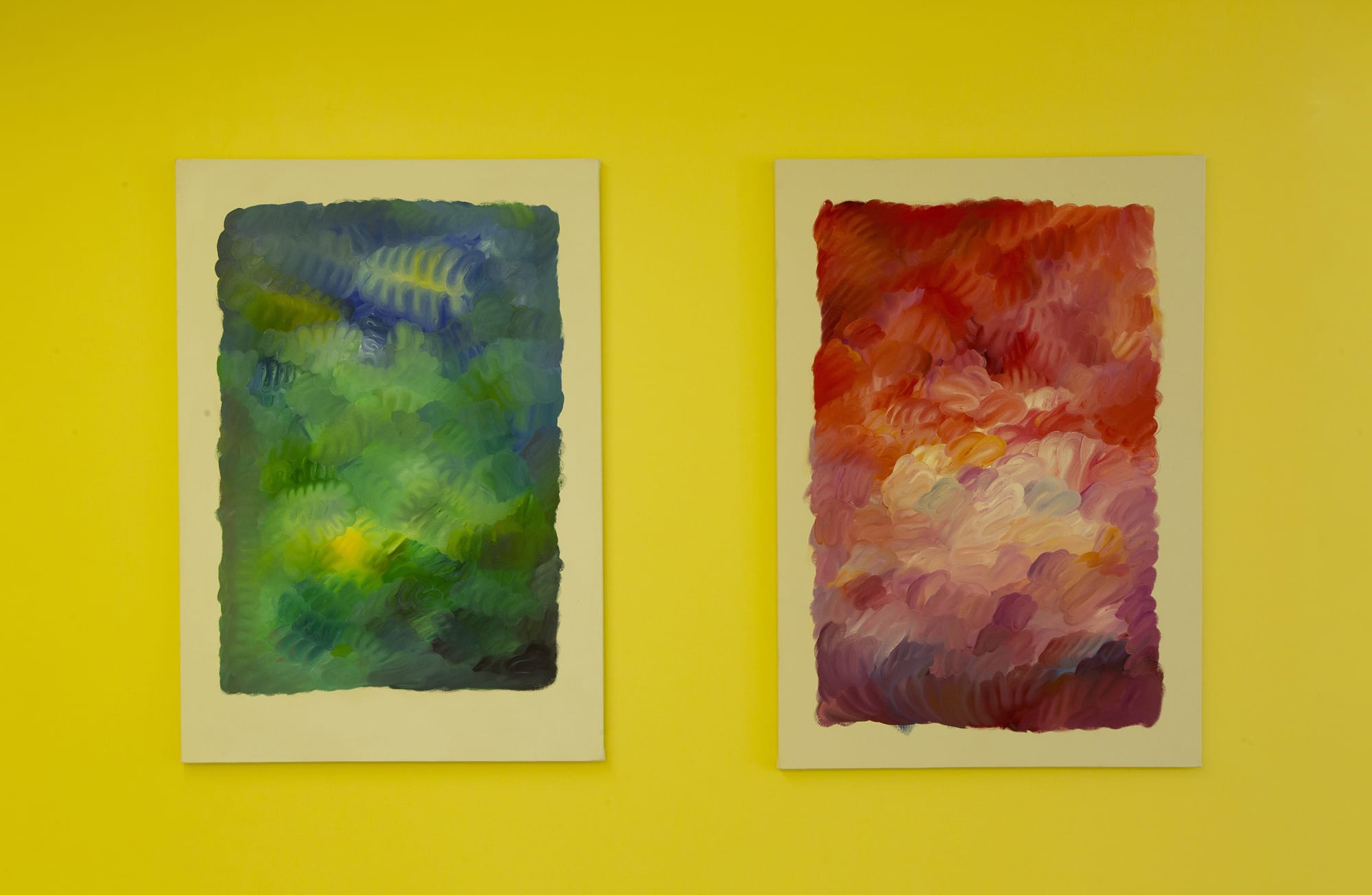 Installation View of A Walk in the Prairie a solo presentation of works by Kiarash Alimi.