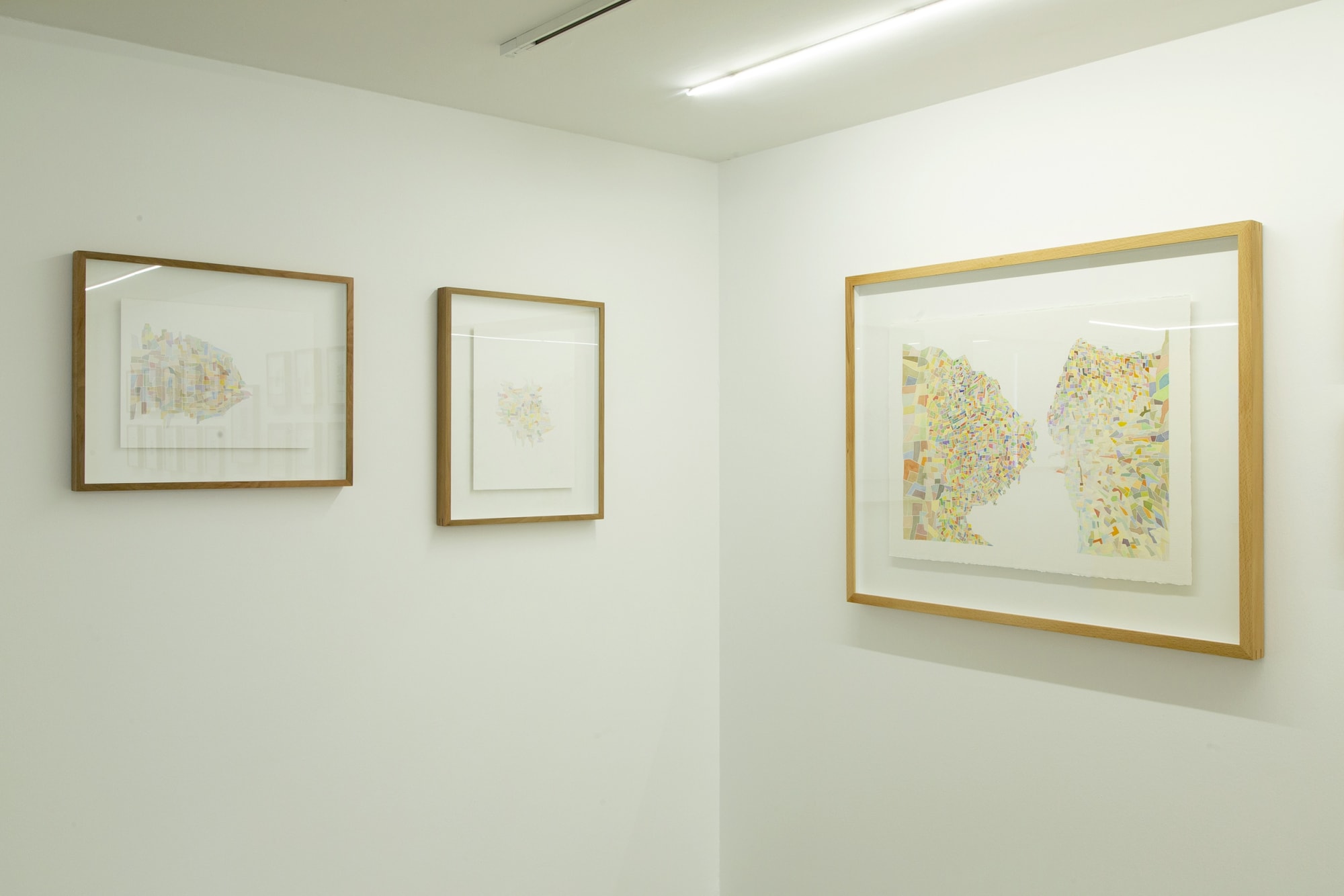 Installation View of A Walk in the Prairie a solo presentation of works by Kiarash Alimi.