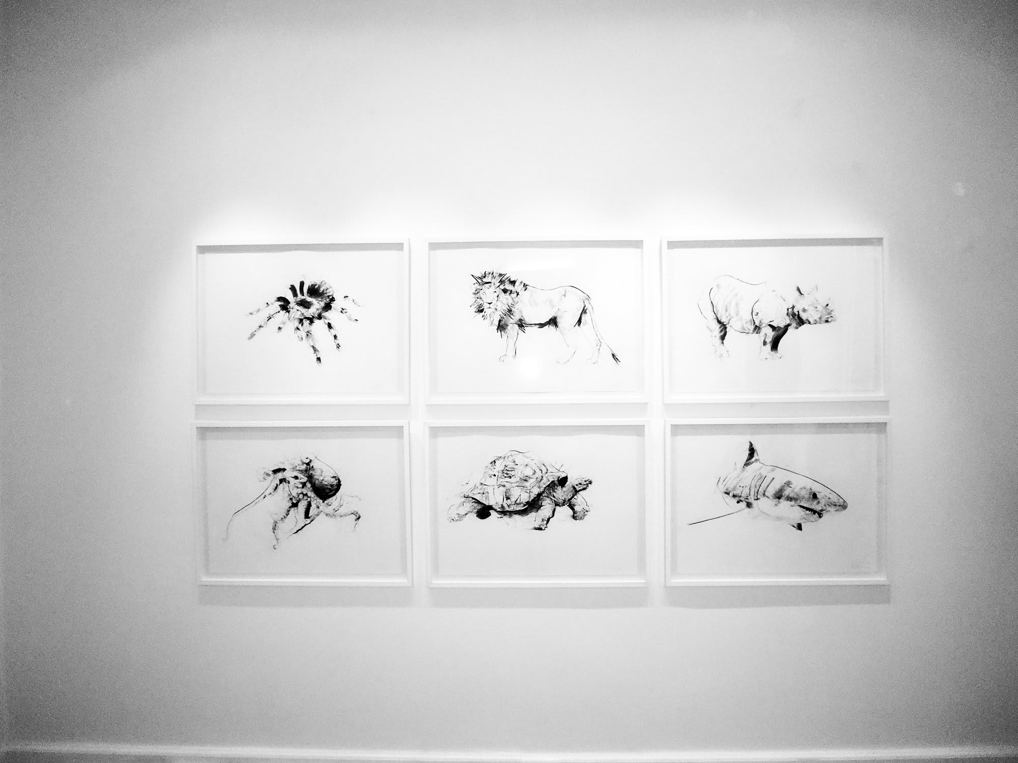 Monochrome Exhibition - Copenhagen