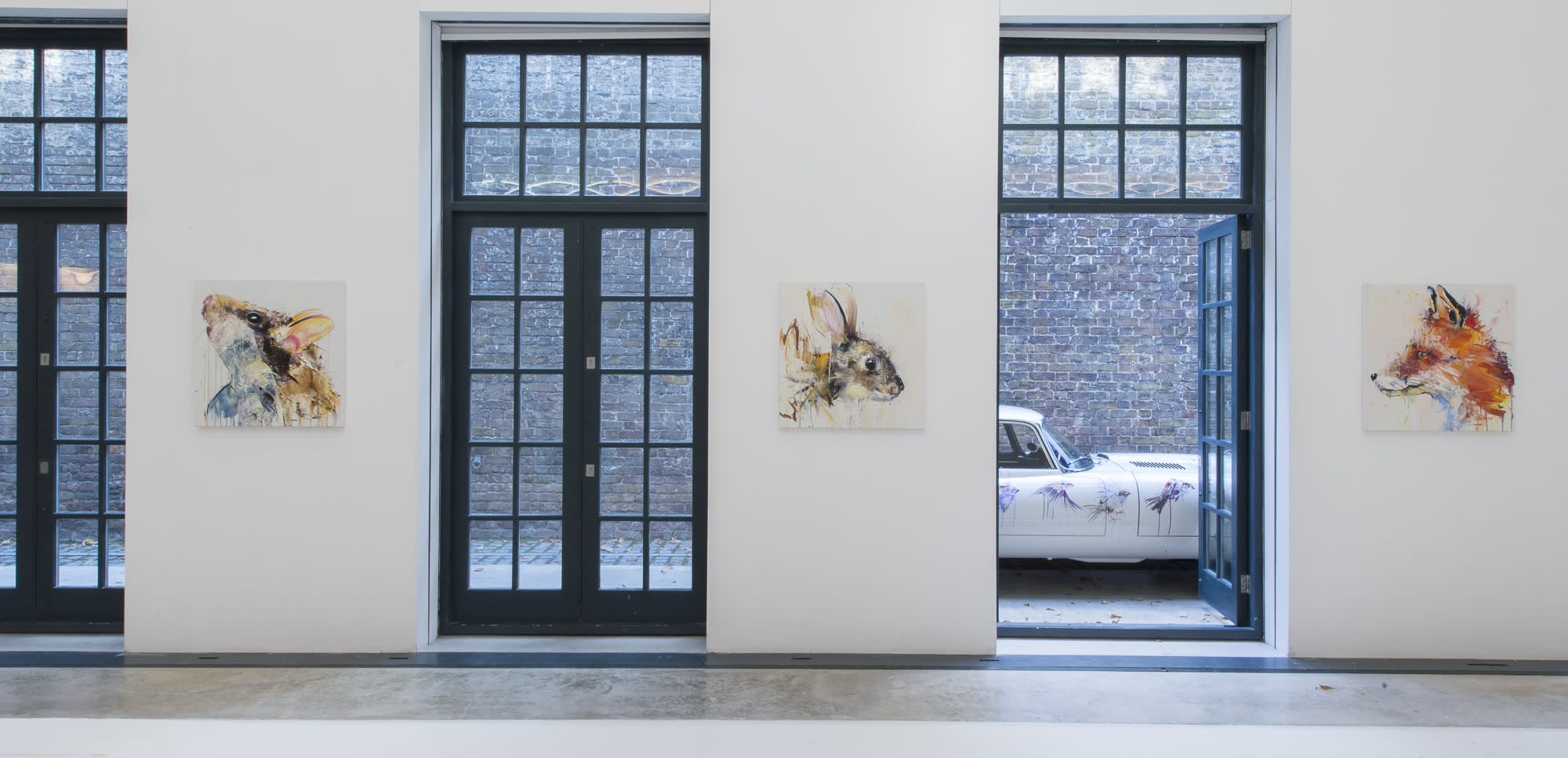 Albion Exhibition Overview