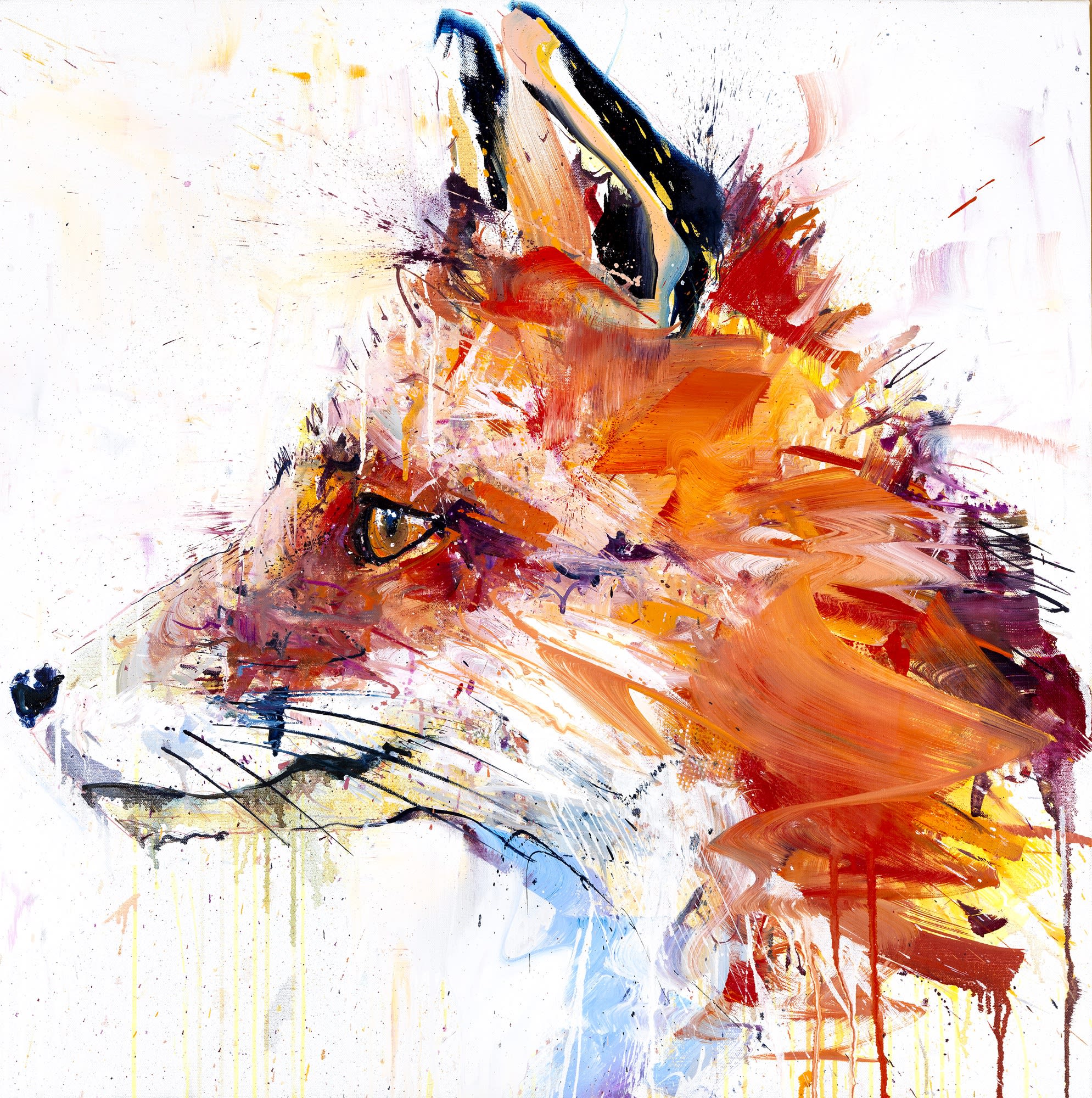 Albion Exhibition Overview