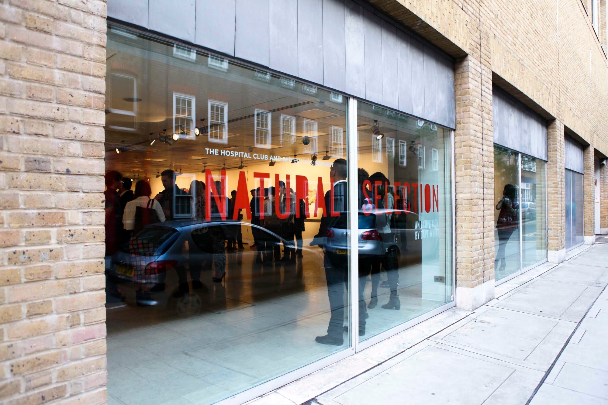 Natural Selection London